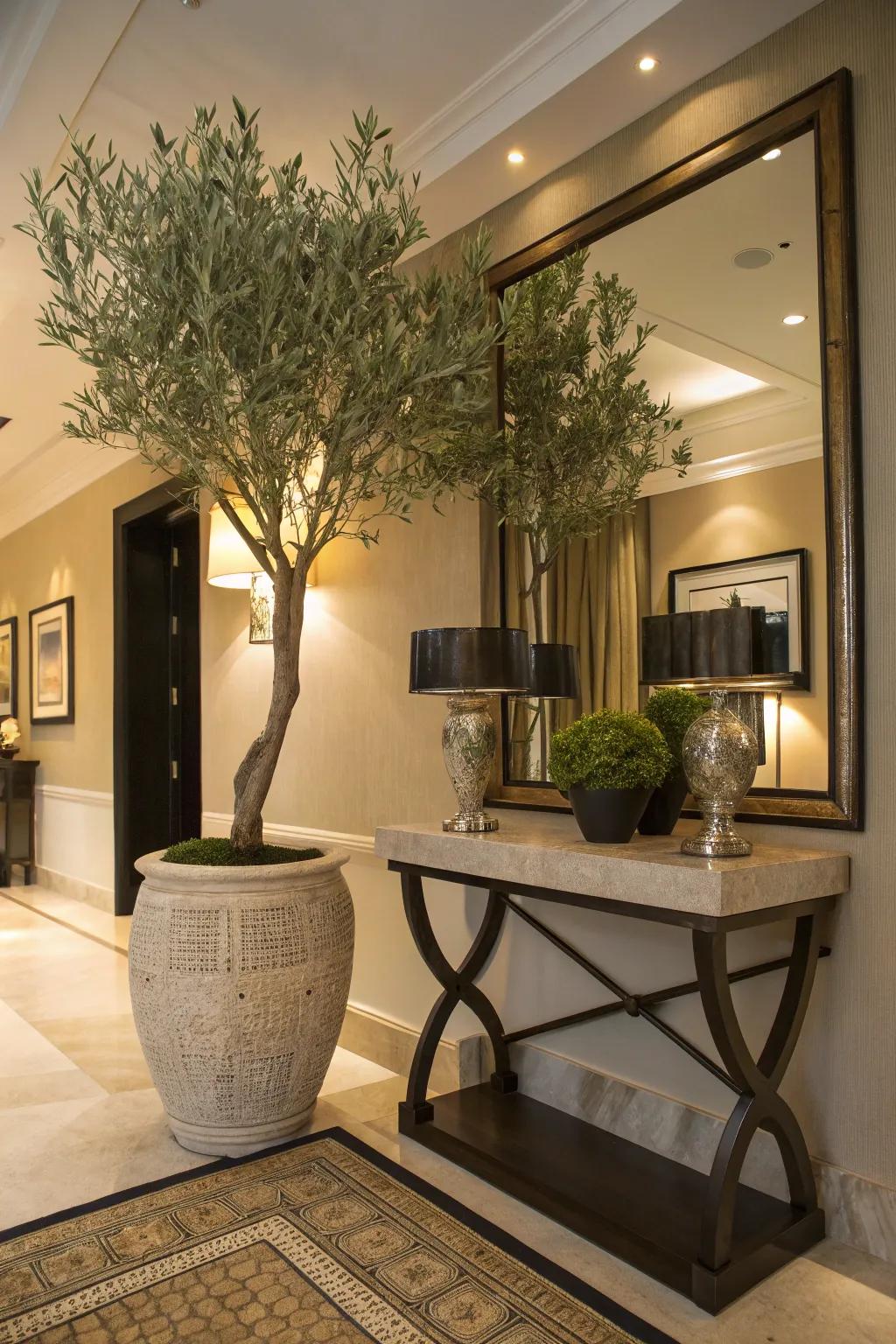 A welcoming entryway adorned with an olive tree.