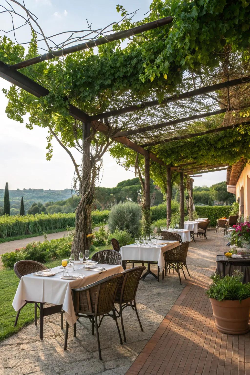 A pergola creates a shaded, intimate dining area with natural beauty.
