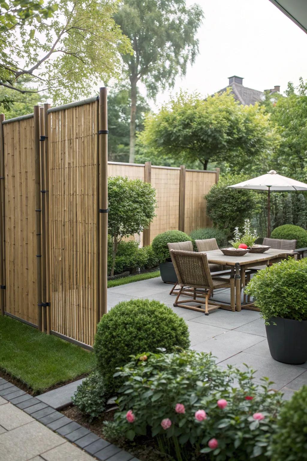 Tall bamboo screens offering privacy in a lush backyard.