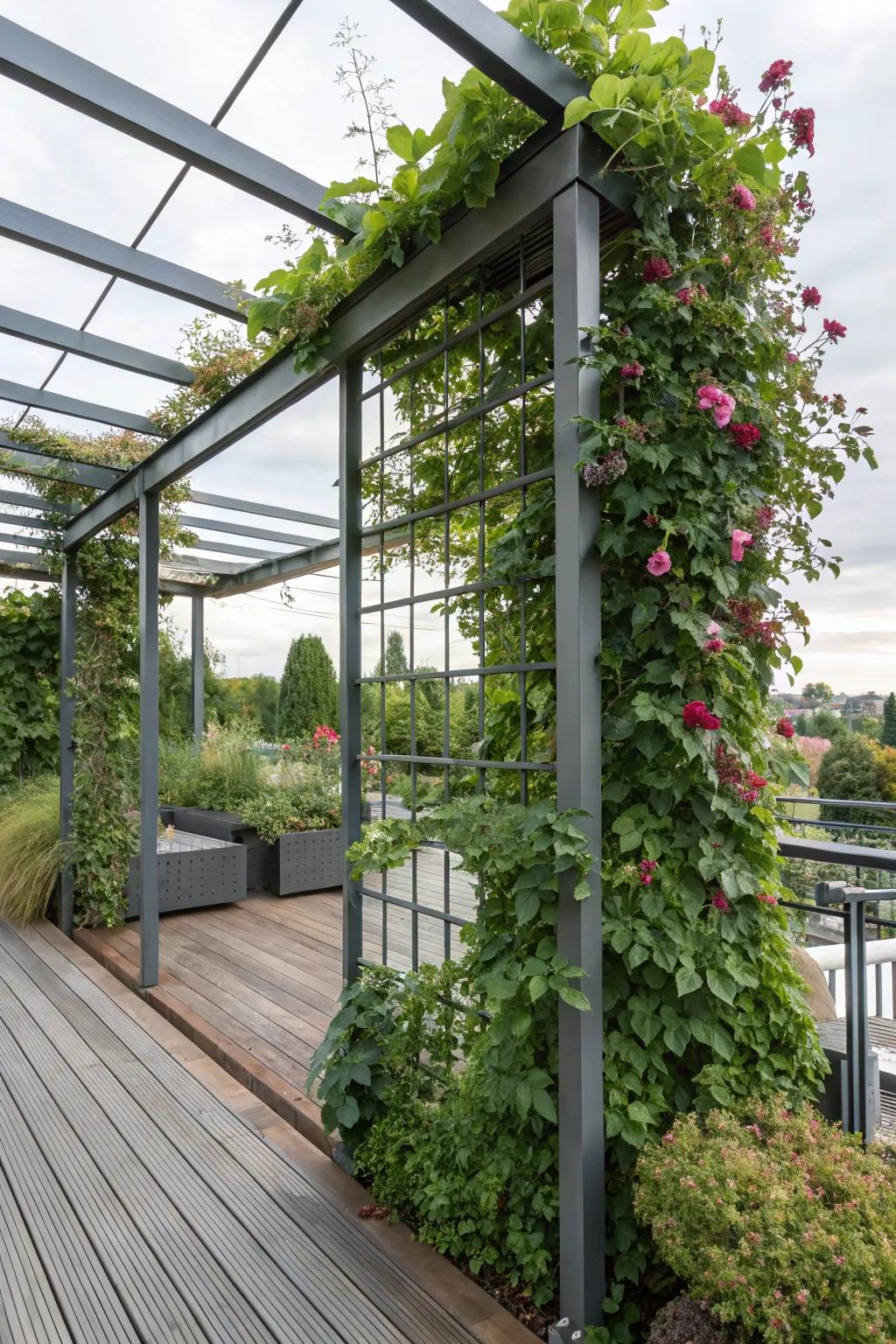 Metal trellises bring a contemporary edge to your deck.