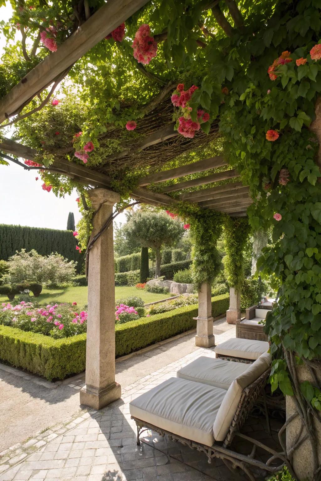 Enhance your backyard with a vine-covered pergola.