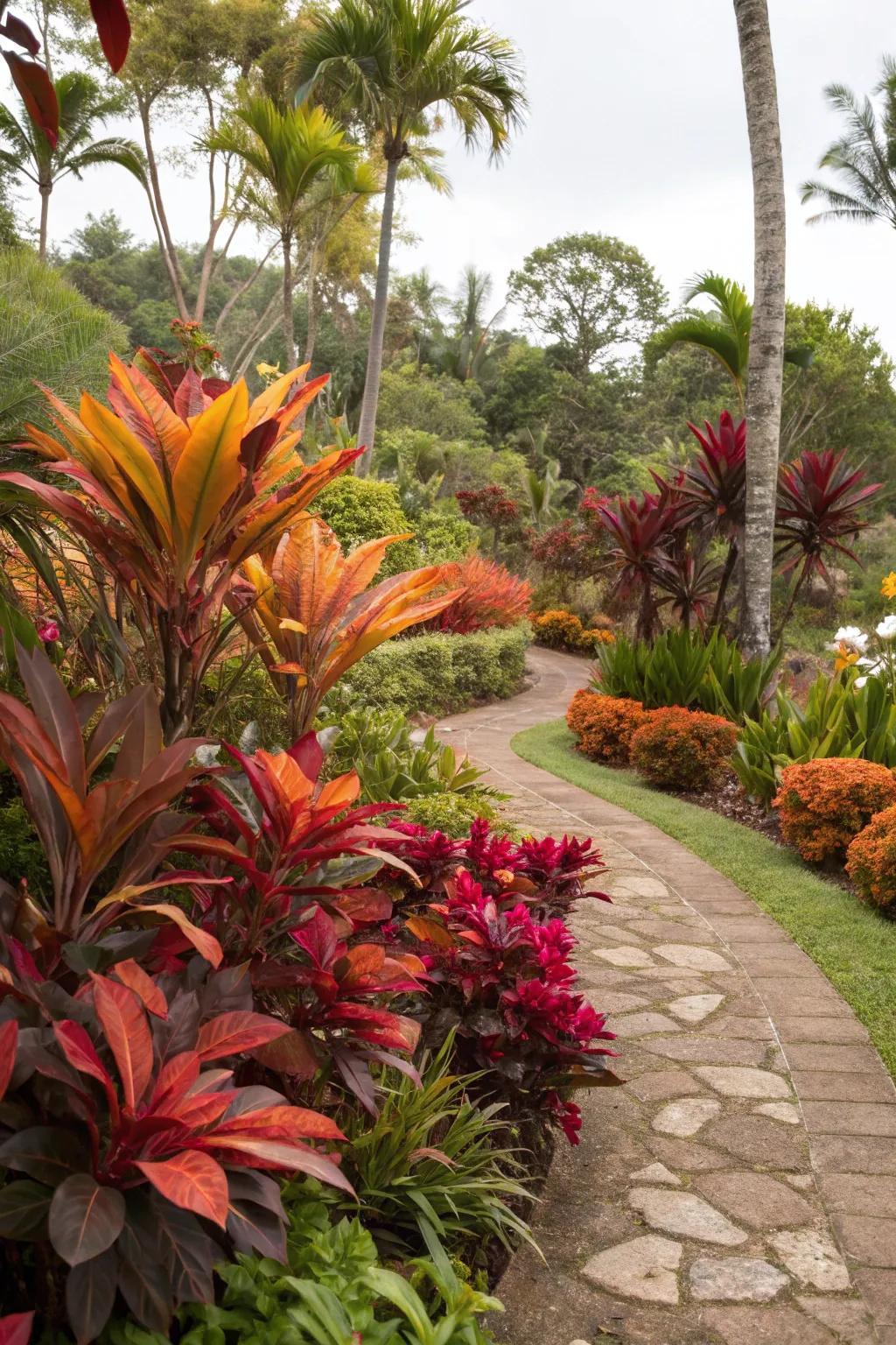 Colorful foliage adds a vibrant touch to gardens.