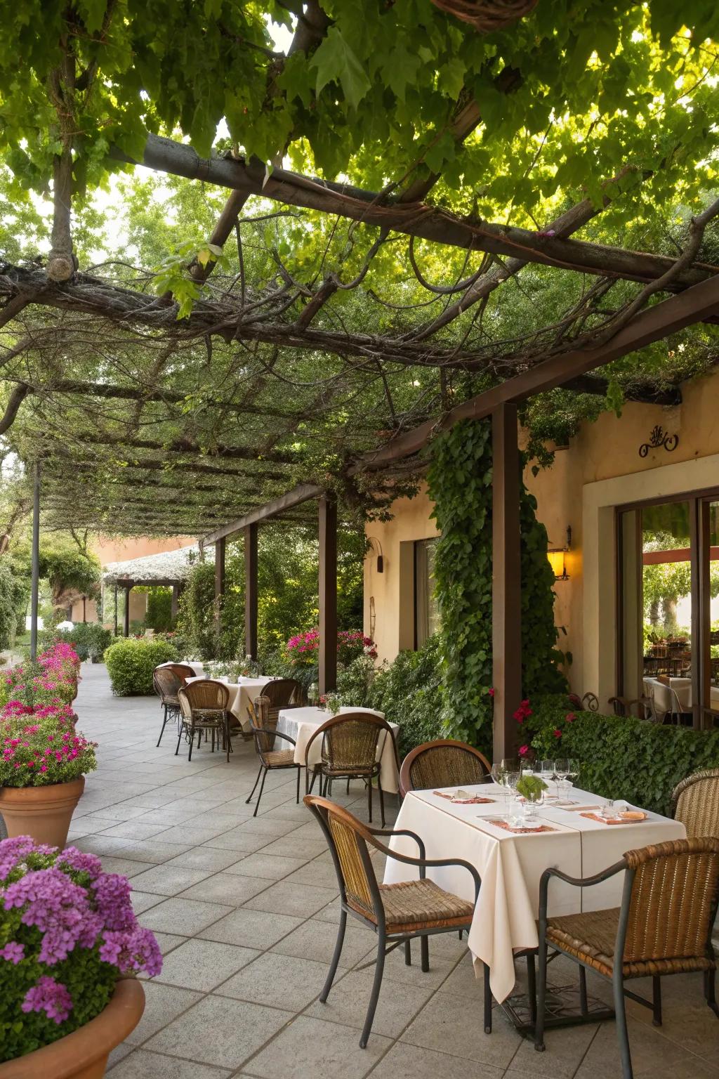 A beautiful pergola with climbing vines offers shade and style.
