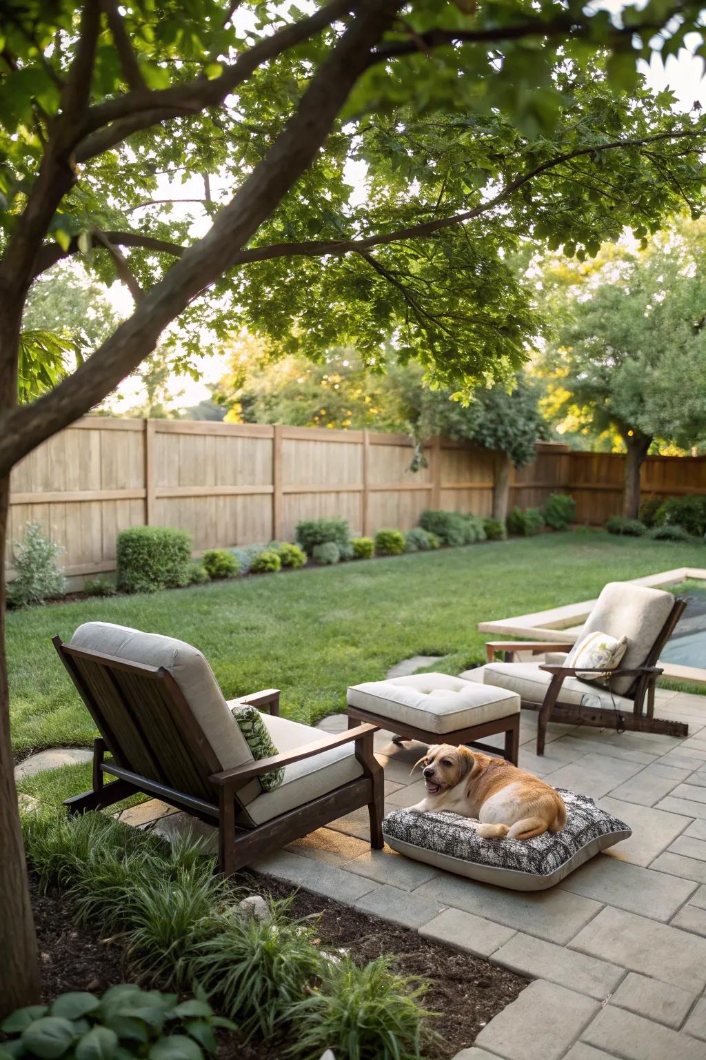 A lounge area offers relaxation for both you and your furry friend.