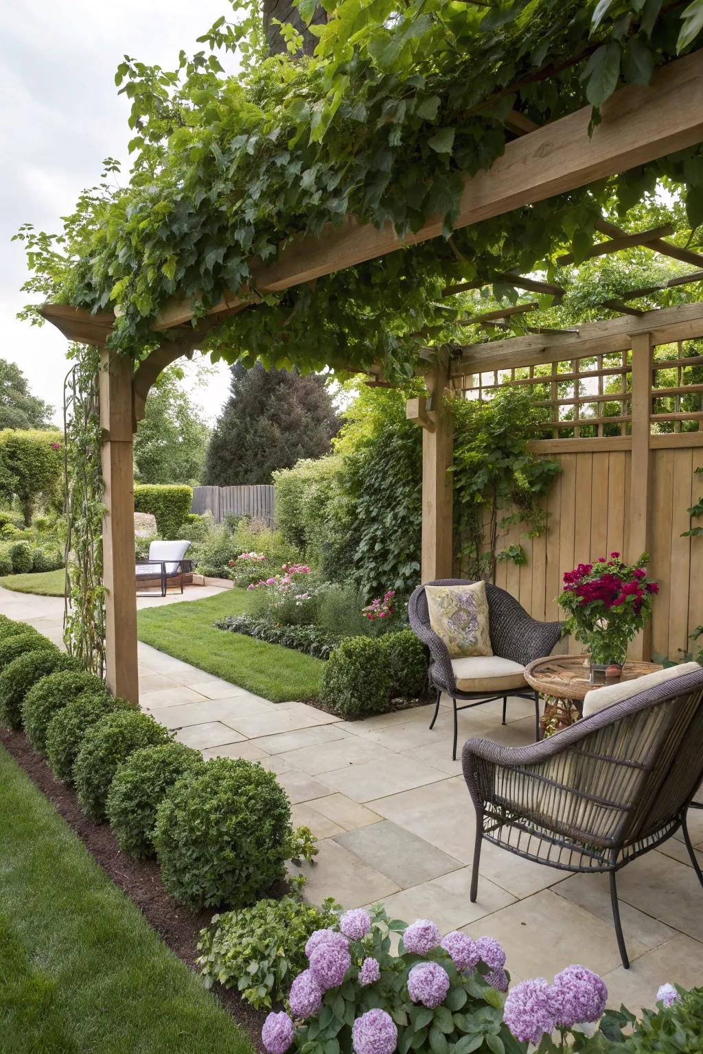 A pergola creating a shaded haven in the garden.