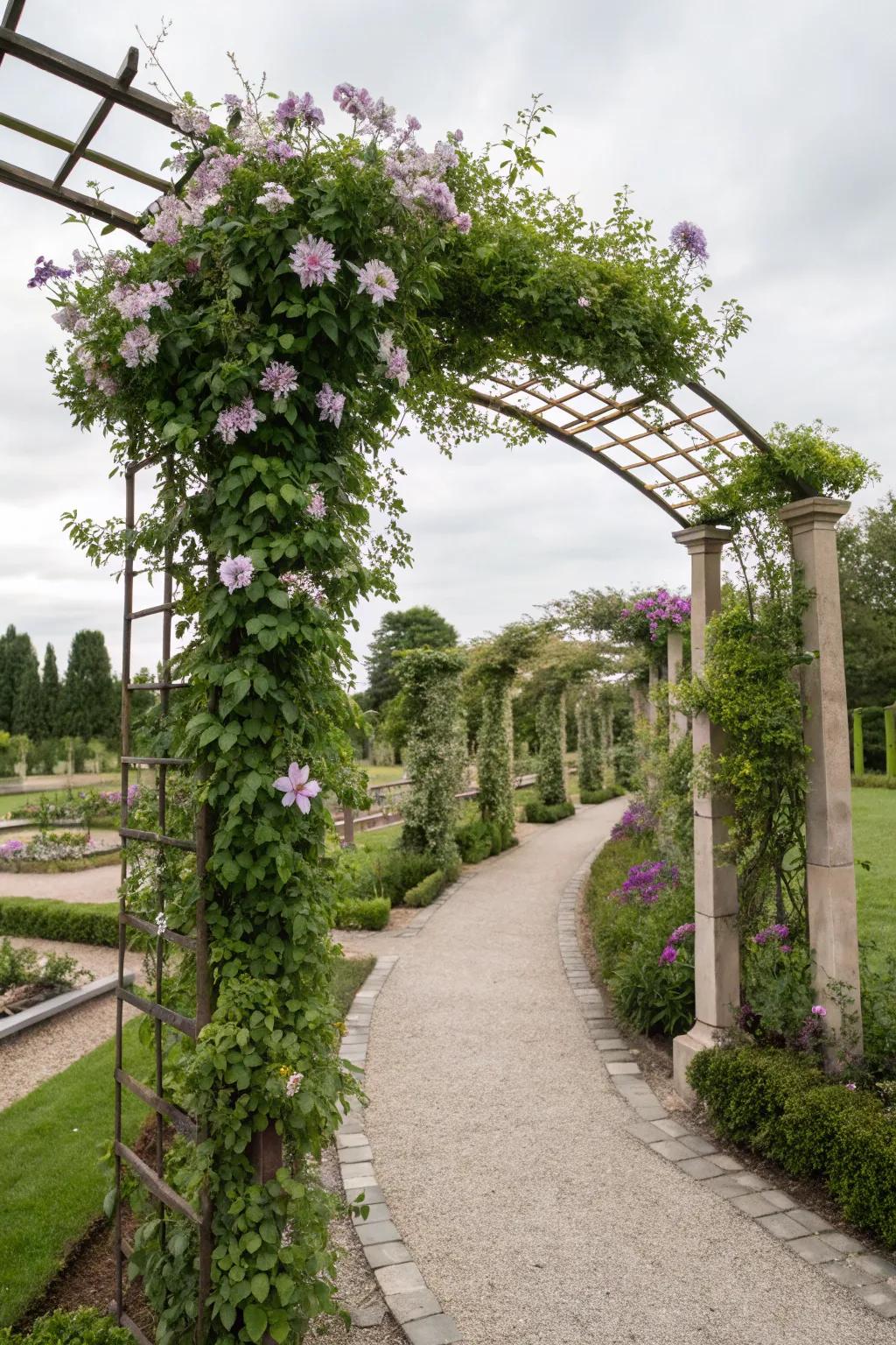 Trellises supporting and displaying beautiful climbing plants.
