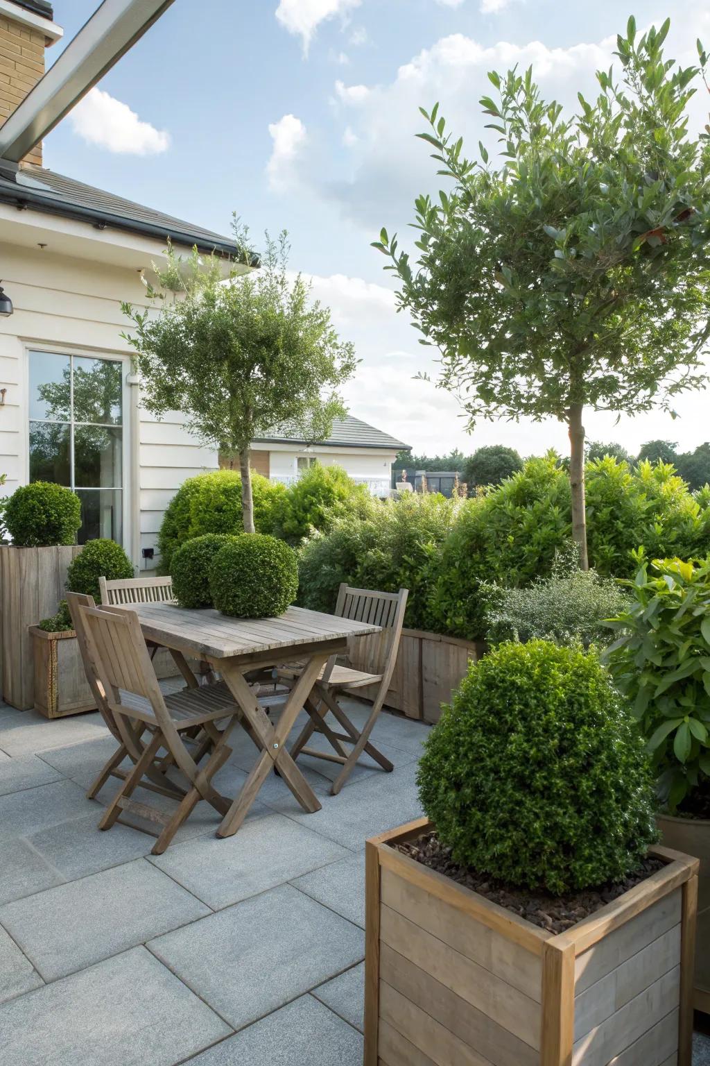 Container shrubs are perfect for flexible and small-space gardening.