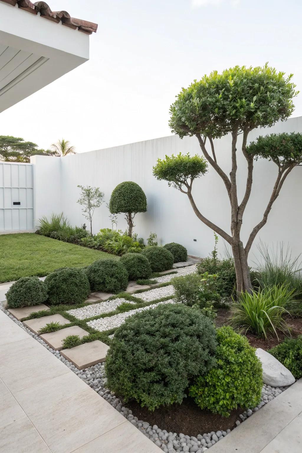 Minimalist shrub design offers a clean and modern garden look.