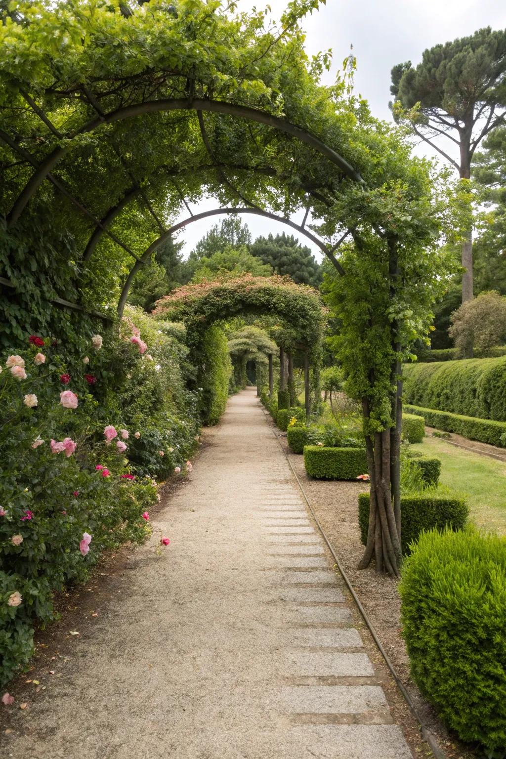 Guide visitors through your garden with pathway shrub integration.