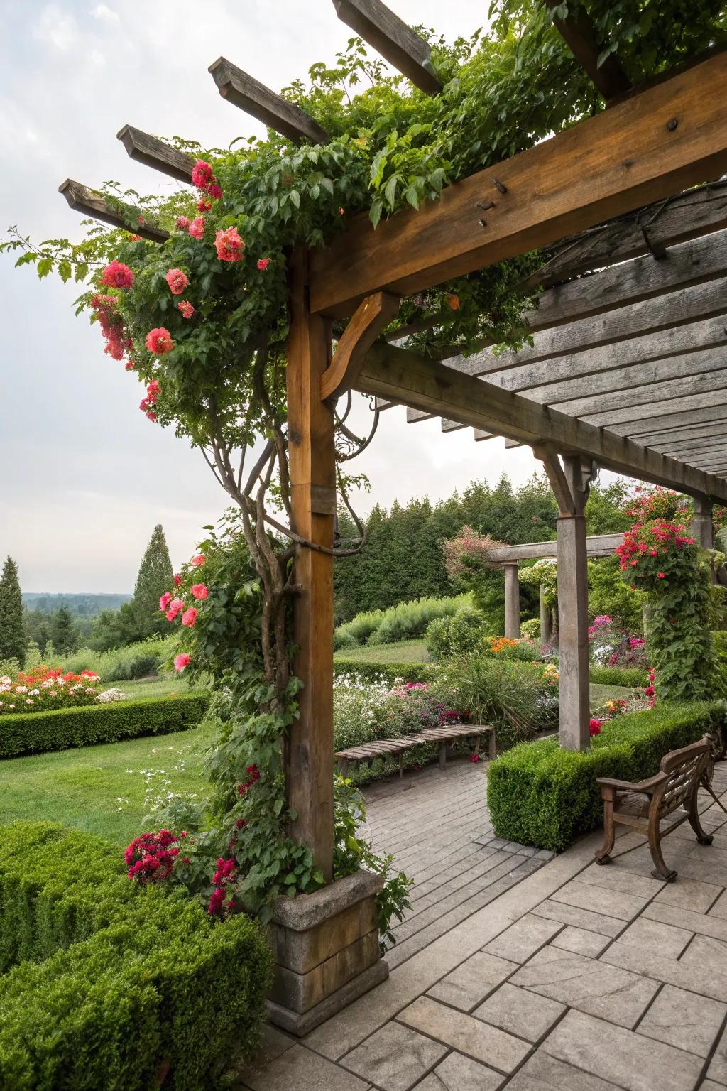 A stylish pergola offering shade and charm to a garden terrace.