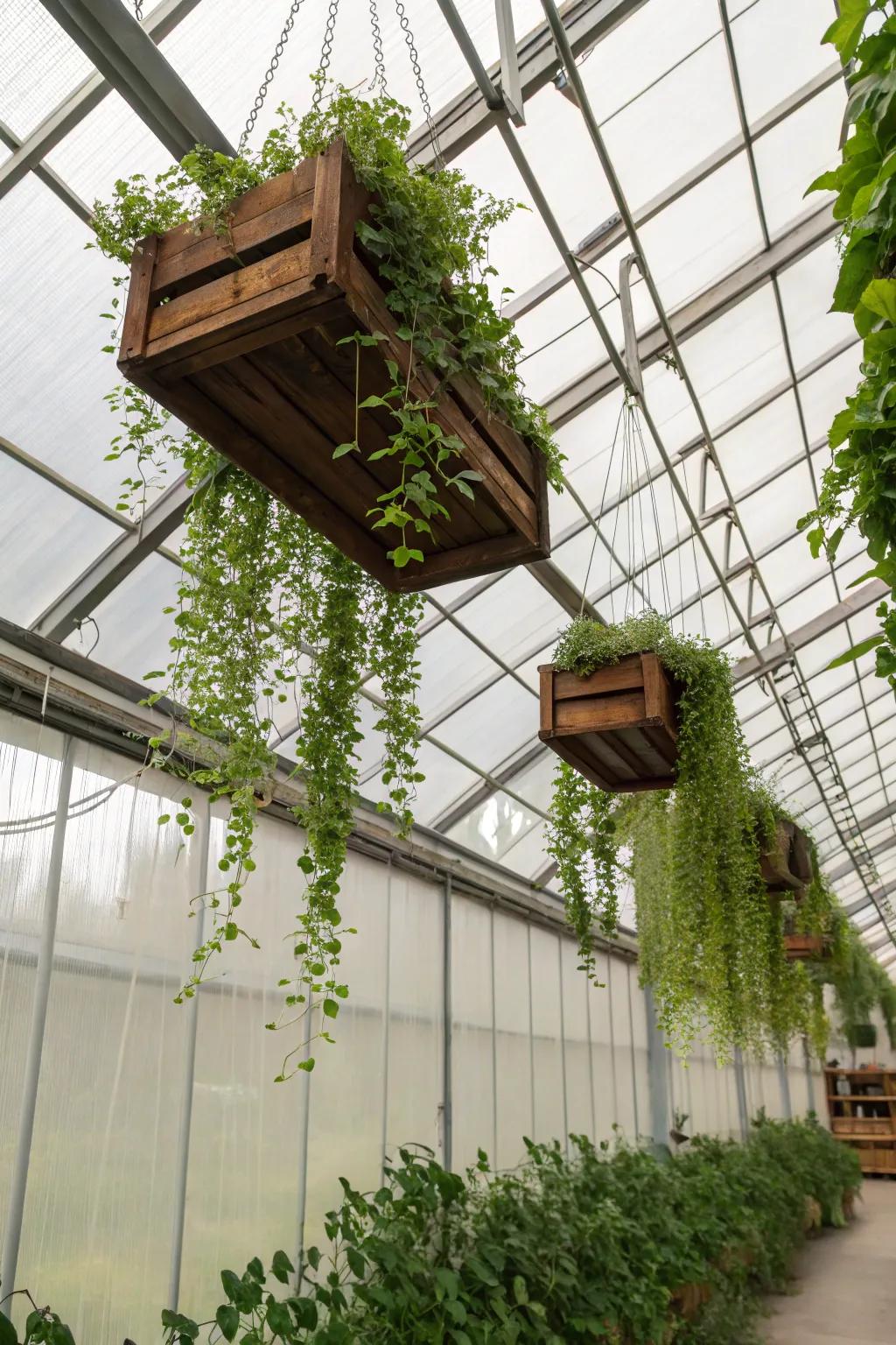 Create an overhead canopy with hanging planters.