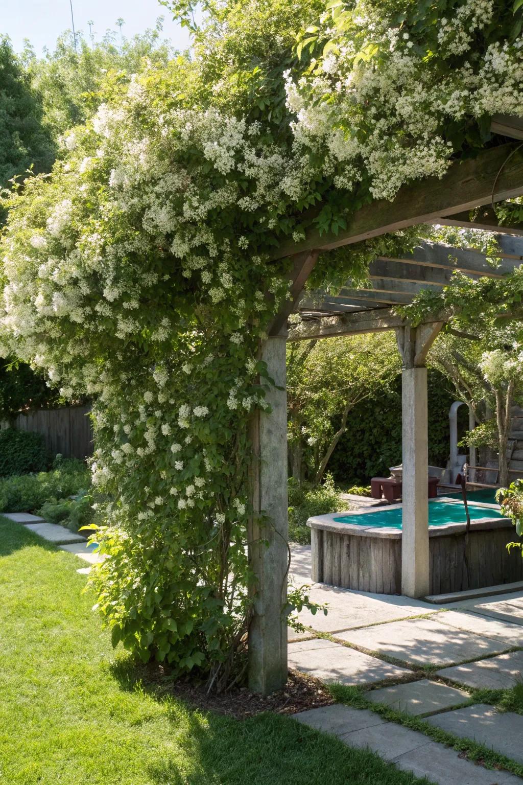 A trellis with vines transforms pool equipment into a fragrant and floral feature.