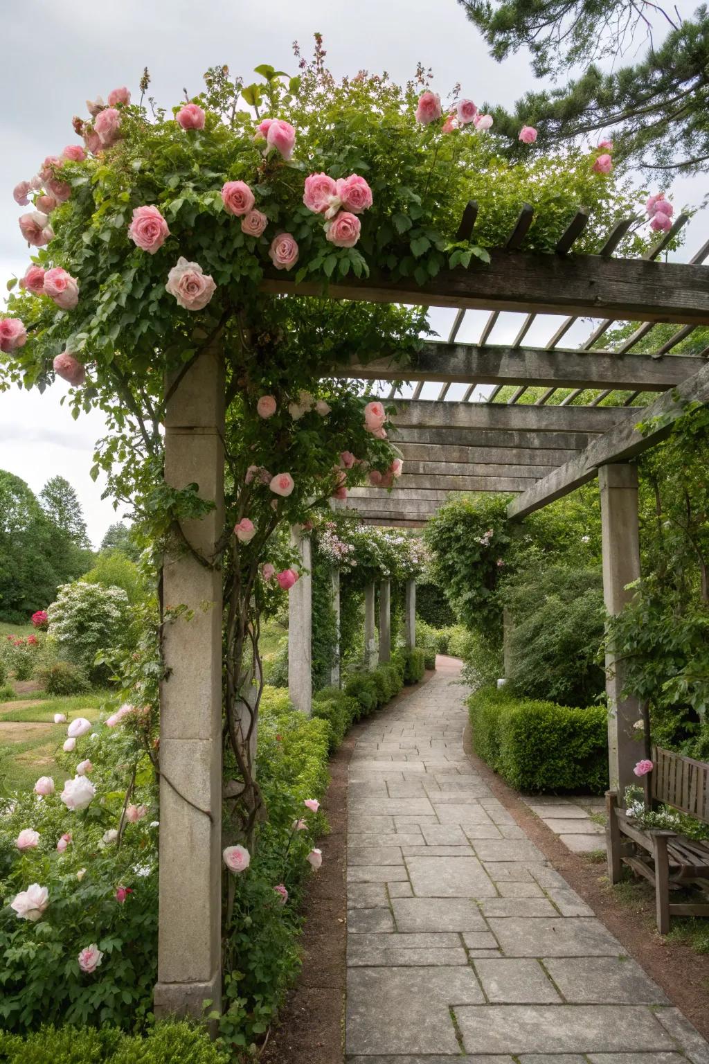 A romantic garden gateway with a half pergola covered in roses.