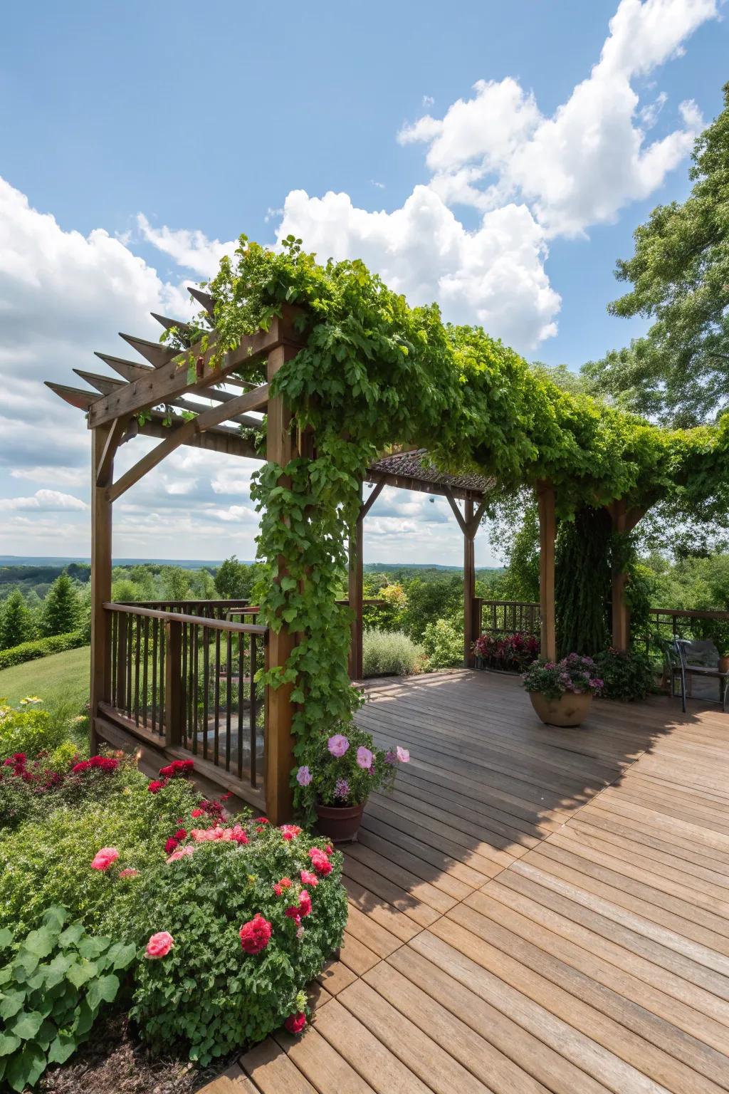 A pergola adds elegance and shade to your deck.