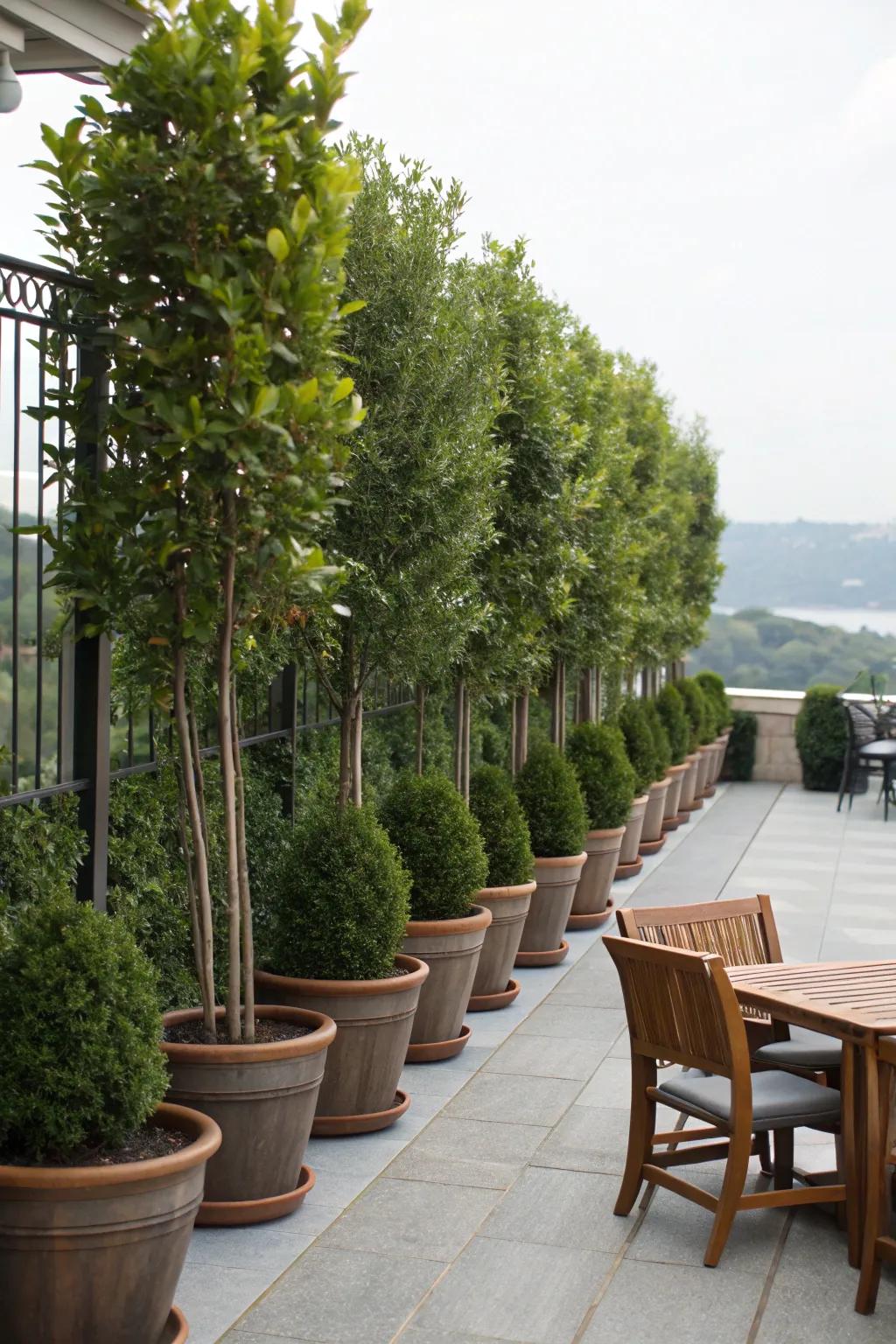 Potted plants provide a lush and living privacy solution.