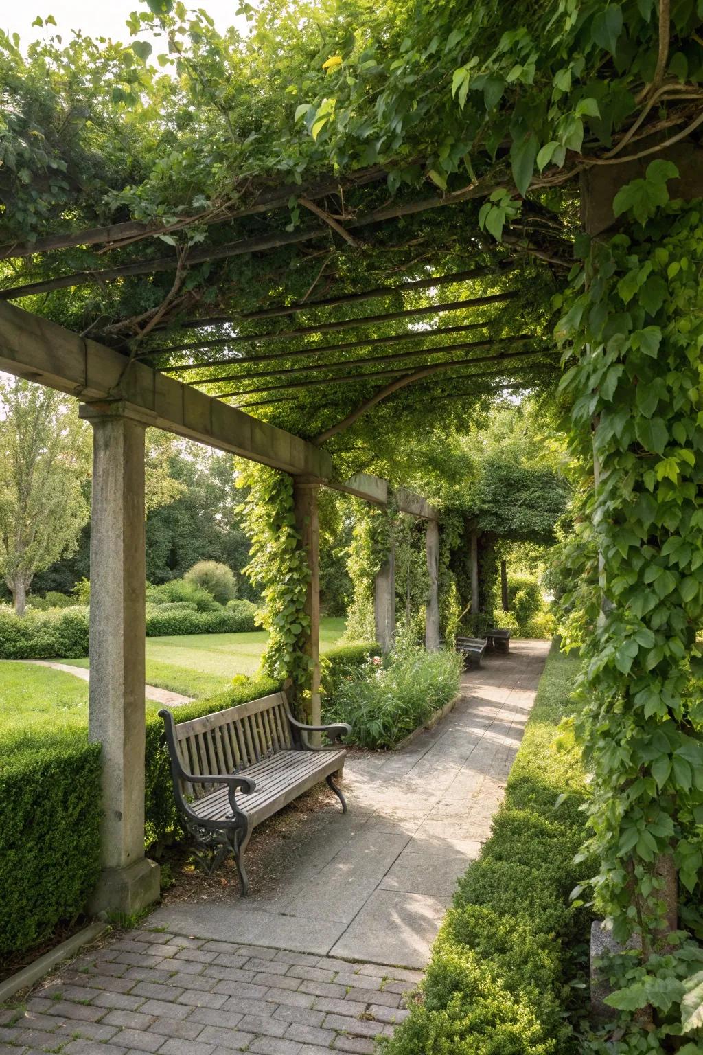 Pergolas provide shade and structure.