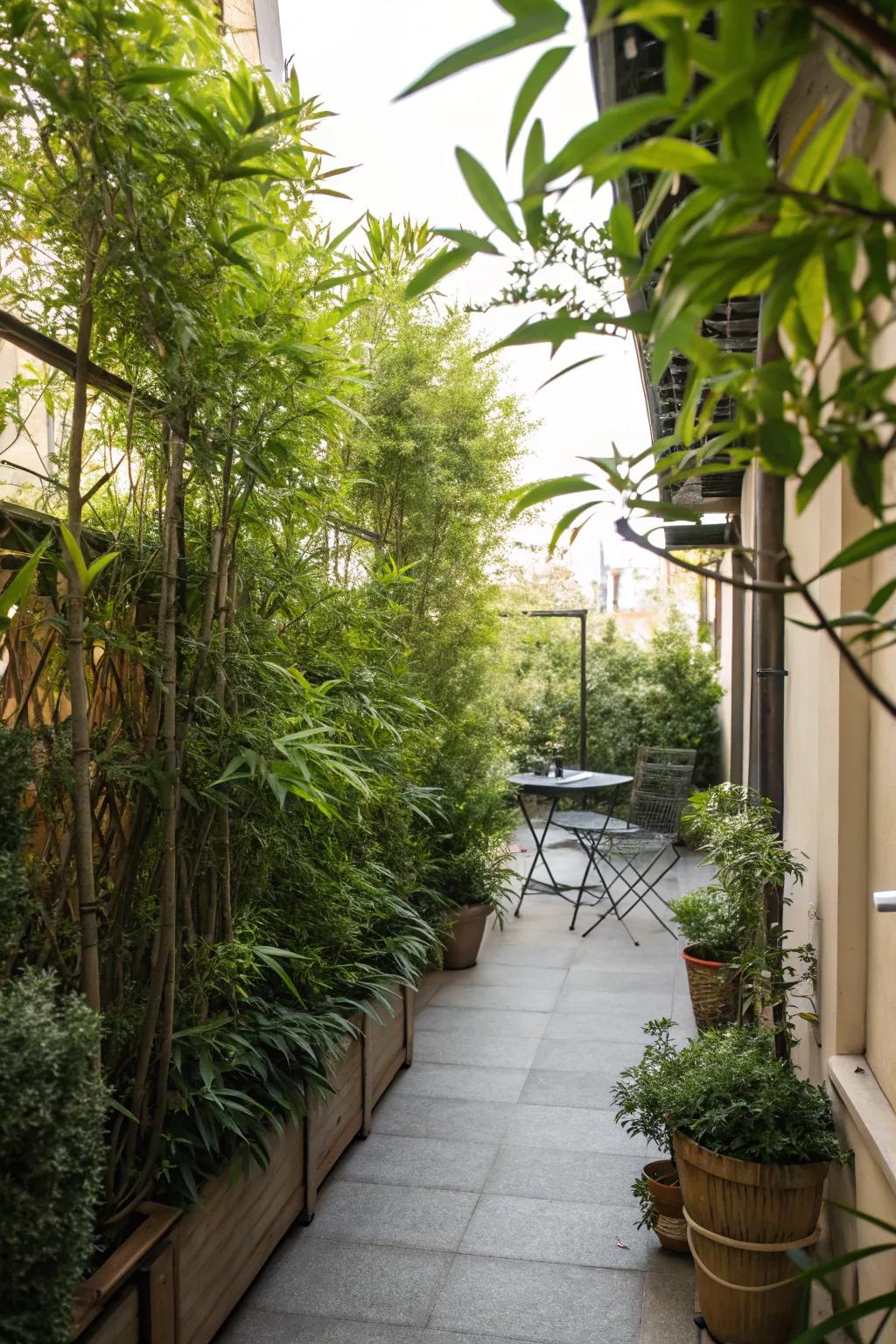 Tall plants serve as a natural privacy screen for small terraces.
