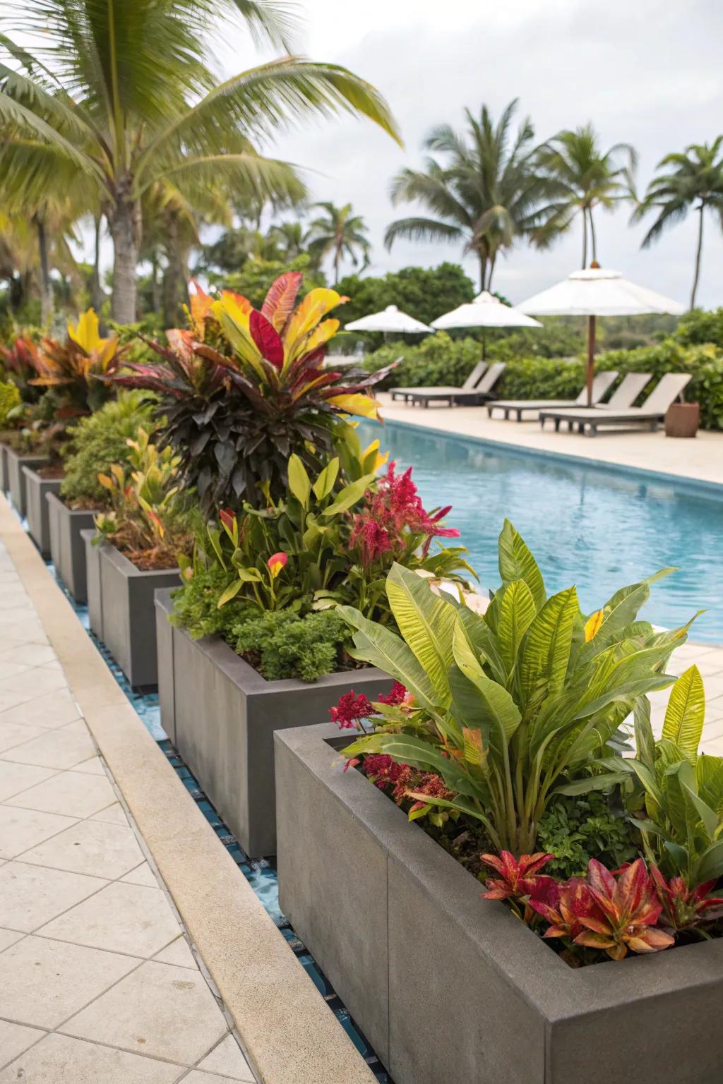 Beautify your pool area with lush planter boxes for a relaxing atmosphere.