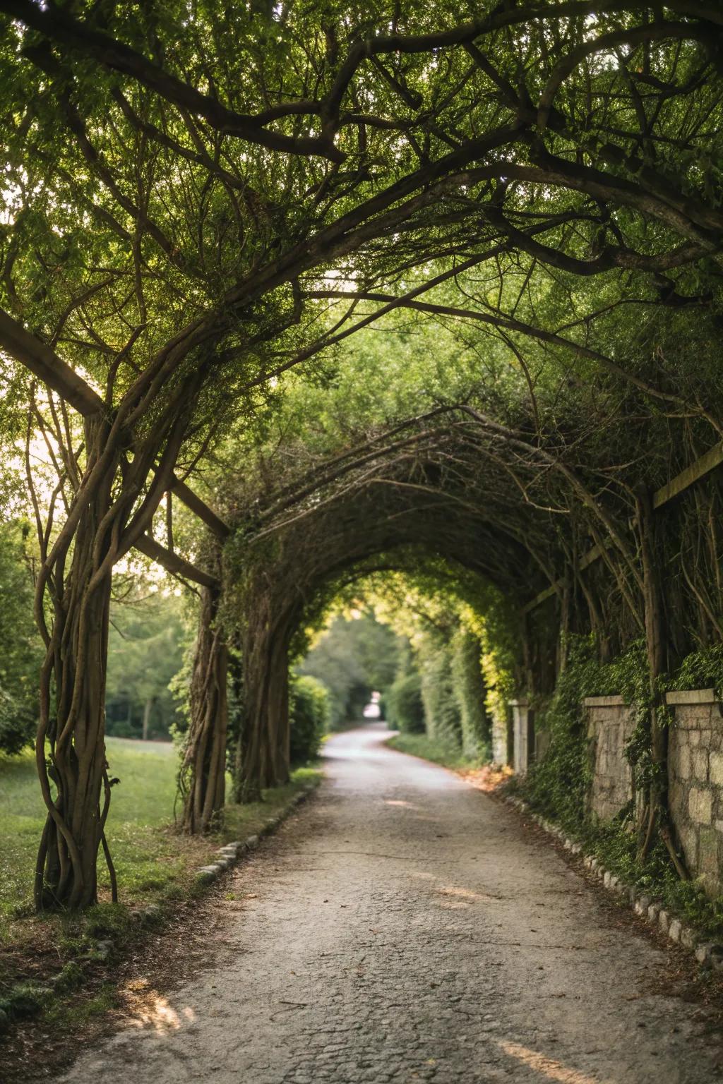 Foliage archways offer a fragrant welcome