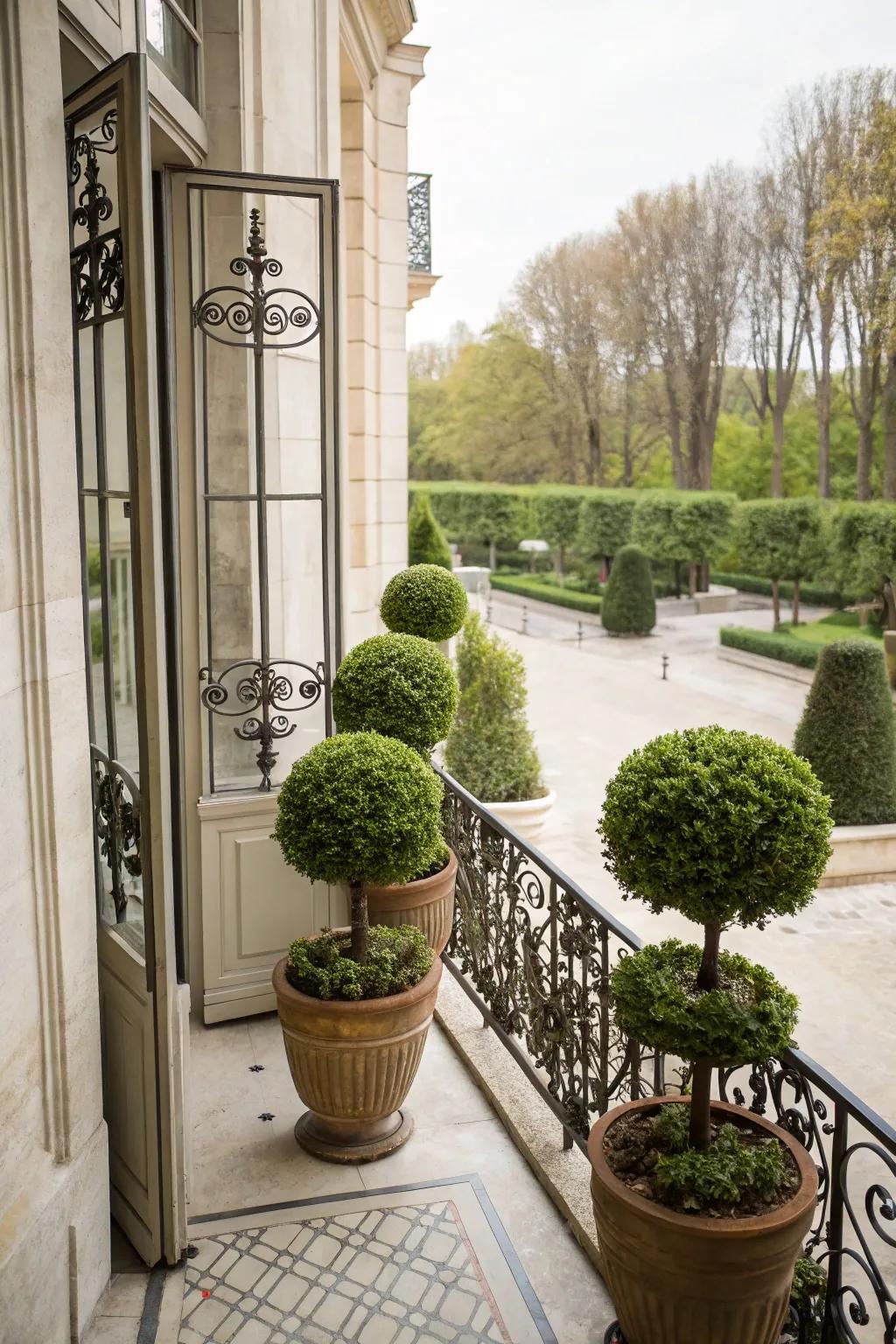Potted topiaries offer structure and elegance to your balcony.