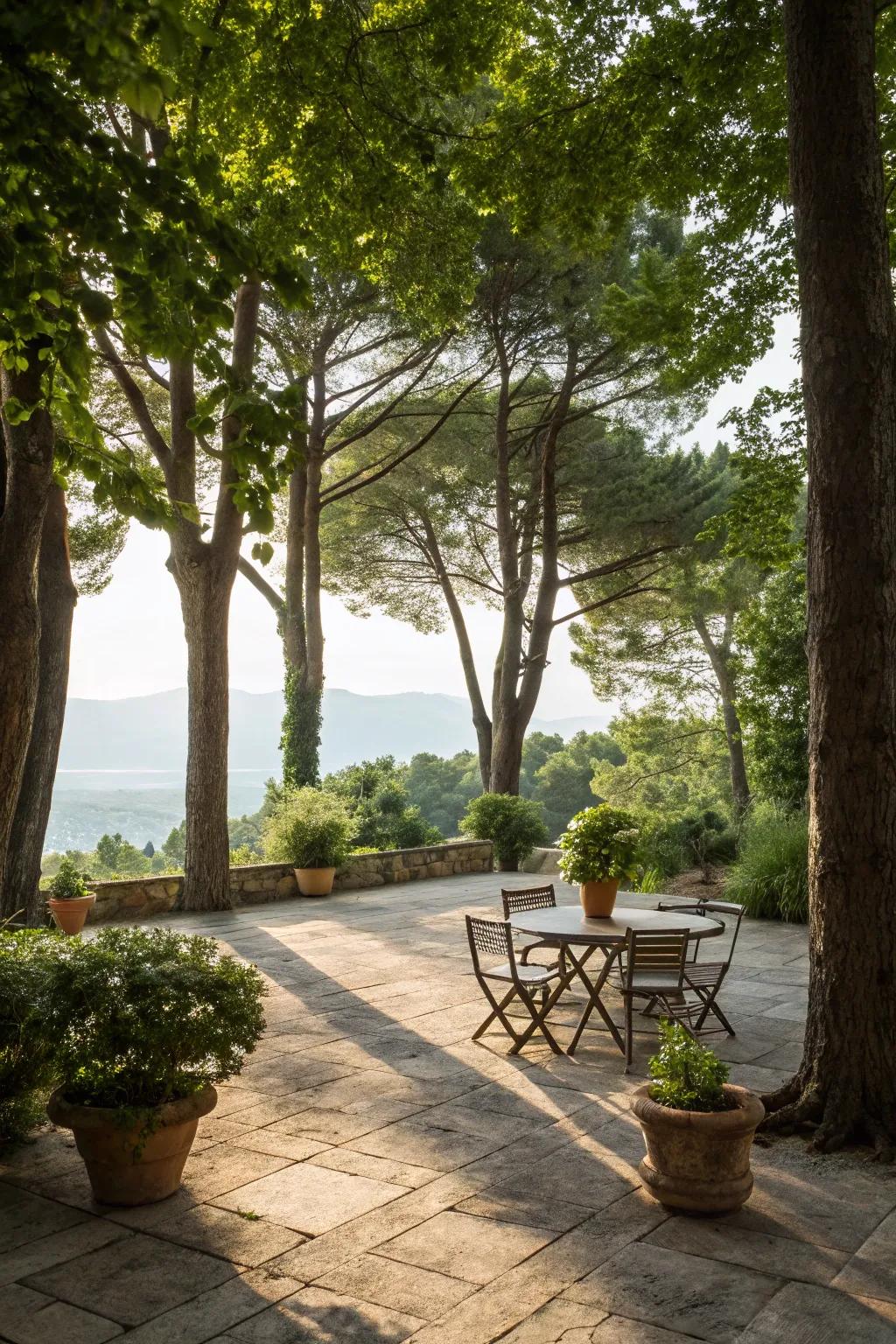 Natural shade from trees enhancing the patio's serenity.