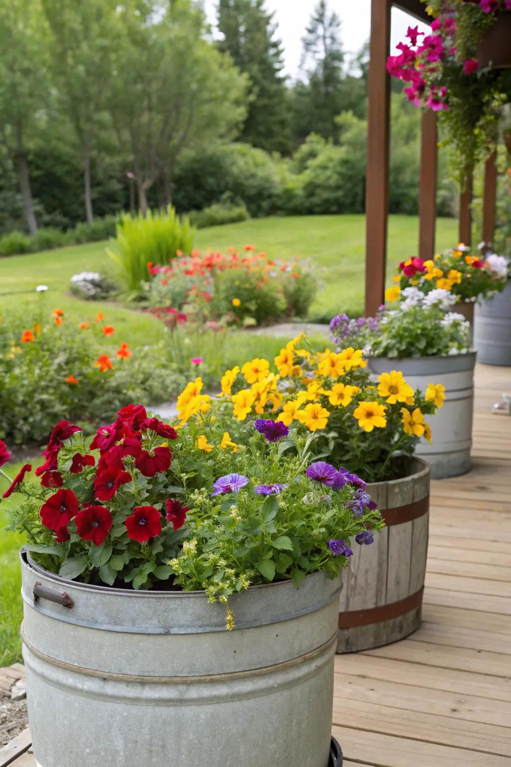 Bright and colorful blooms adding vibrancy to a container garden.