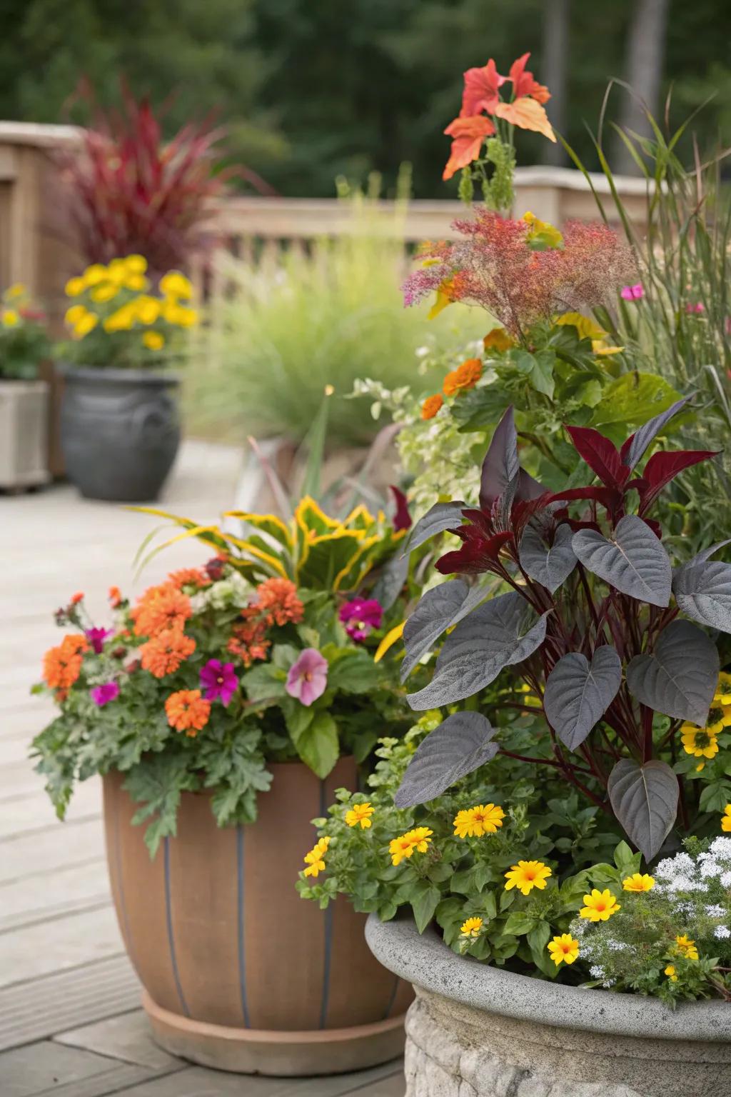 Seasonal plant displays keep a container garden exciting year-round.