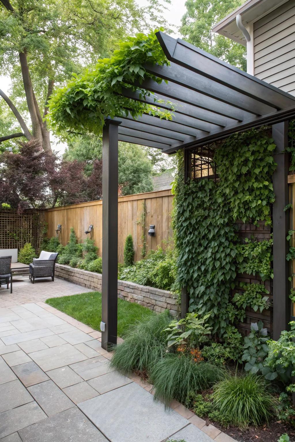 A vertical garden wall adds lush greenery to a pergola space.