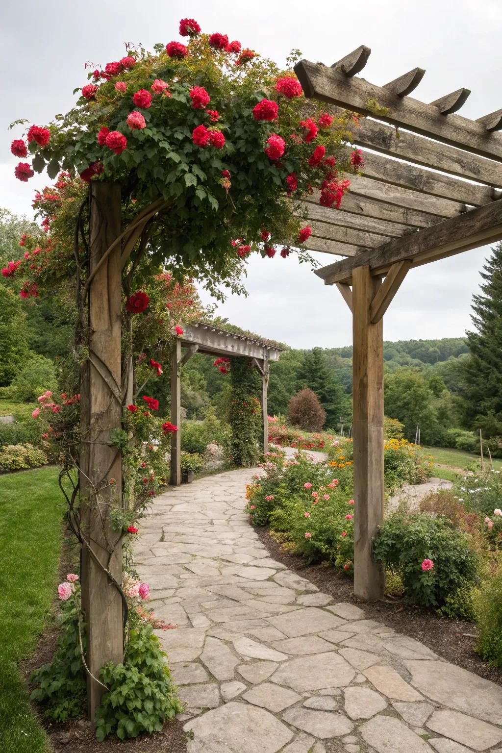 A romantic pergola with climbing roses offers a serene garden retreat.
