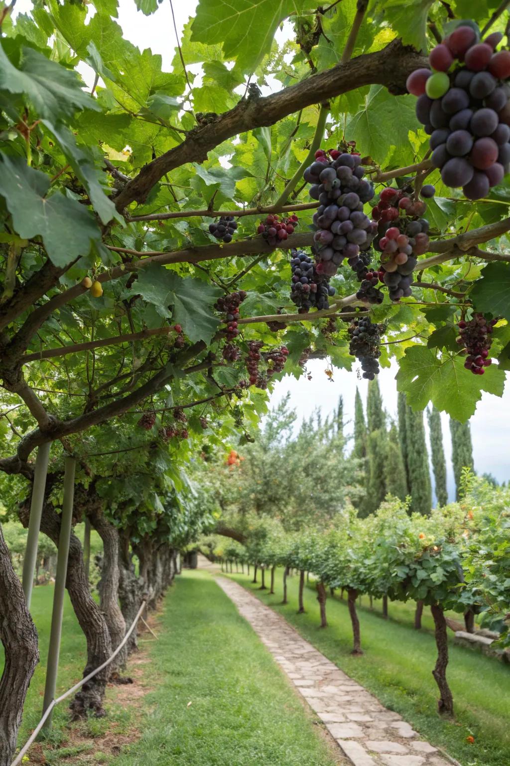 Edible elements bring beauty and utility.