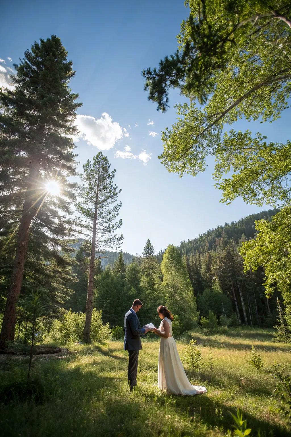 A forest wedding creates an enchanting backdrop for your vows.