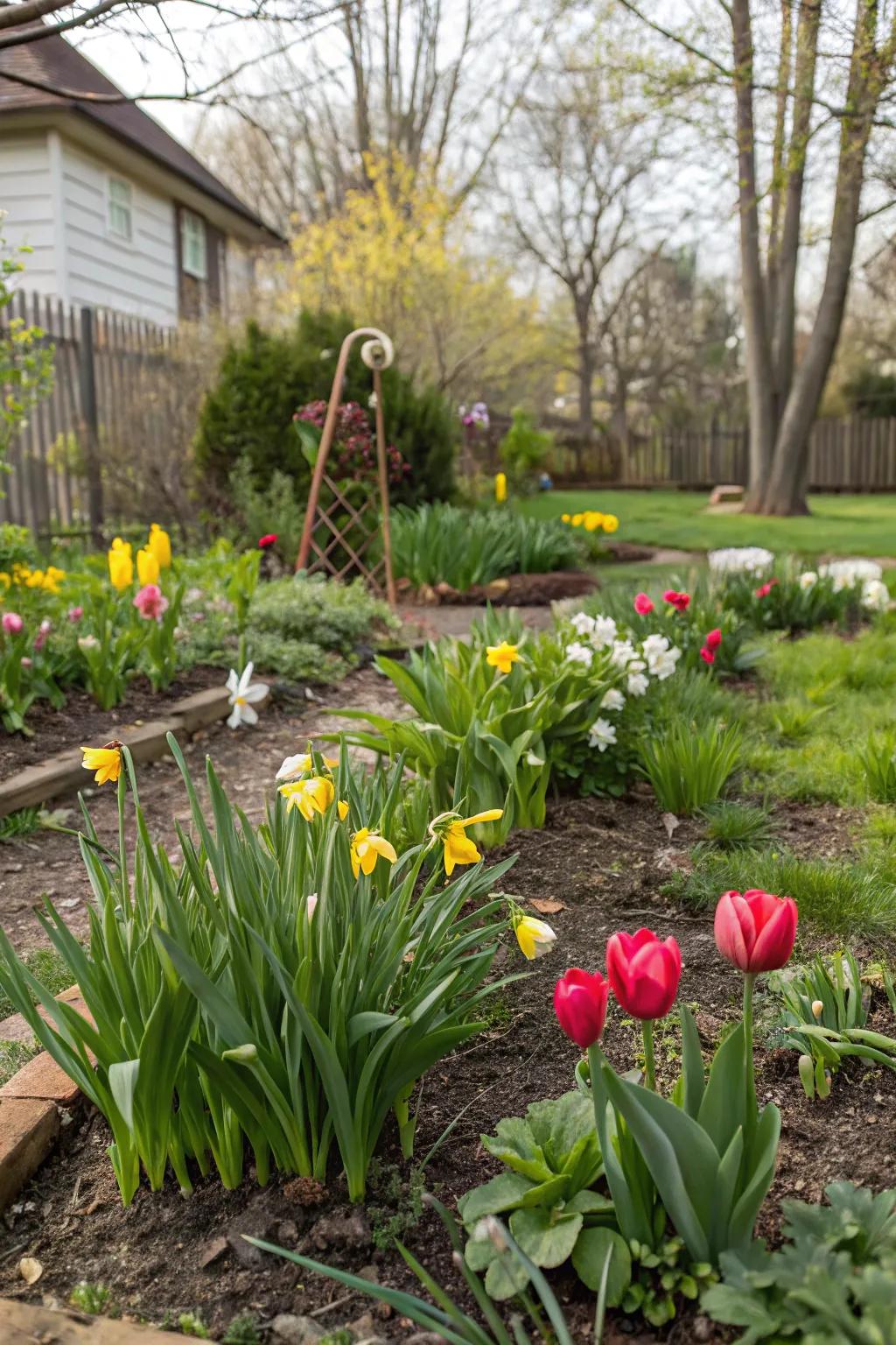 A garden prepared for summer blooms with newly planted bulbs.