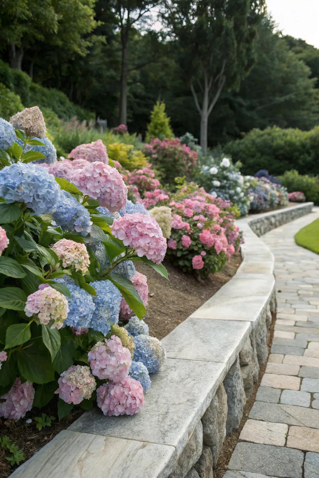 Hydrangeas paired with stone edging for rustic elegance