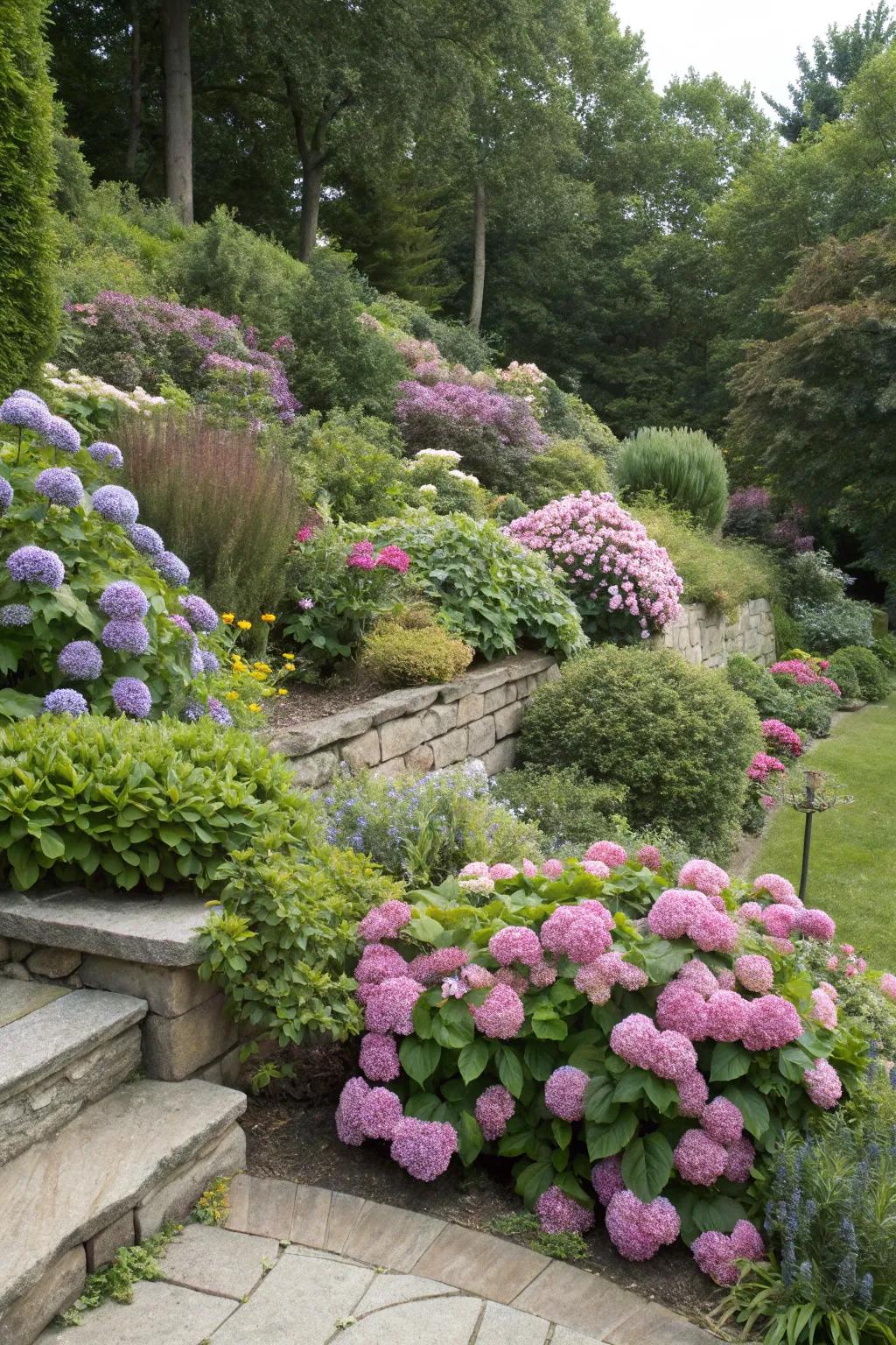 Layered planting with hydrangeas for depth and volume