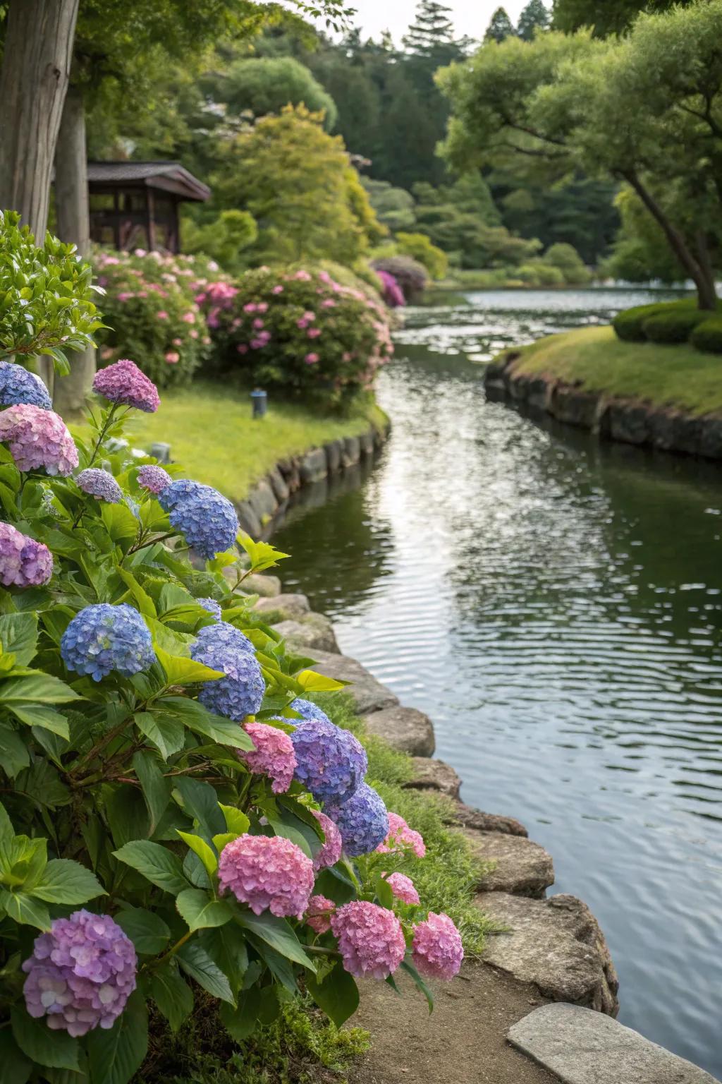Hydrangeas enhancing the beauty of a water feature