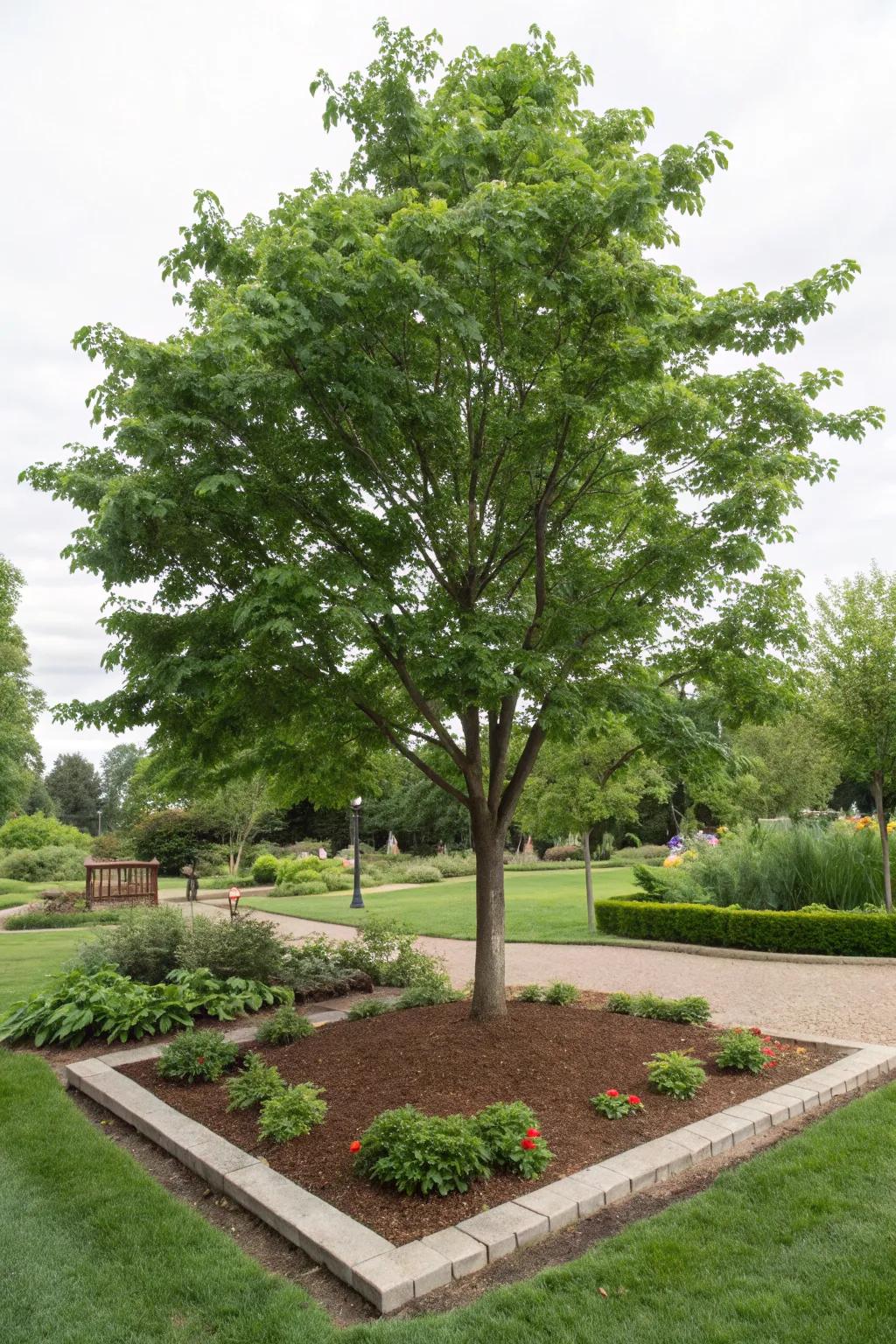 Mulch keeps your tree bases neat and nourished.