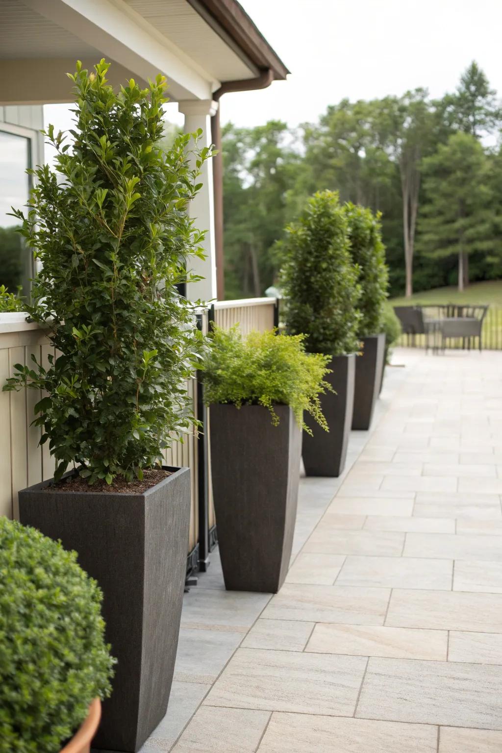 Planters create a natural windbreak and add beauty to patios.