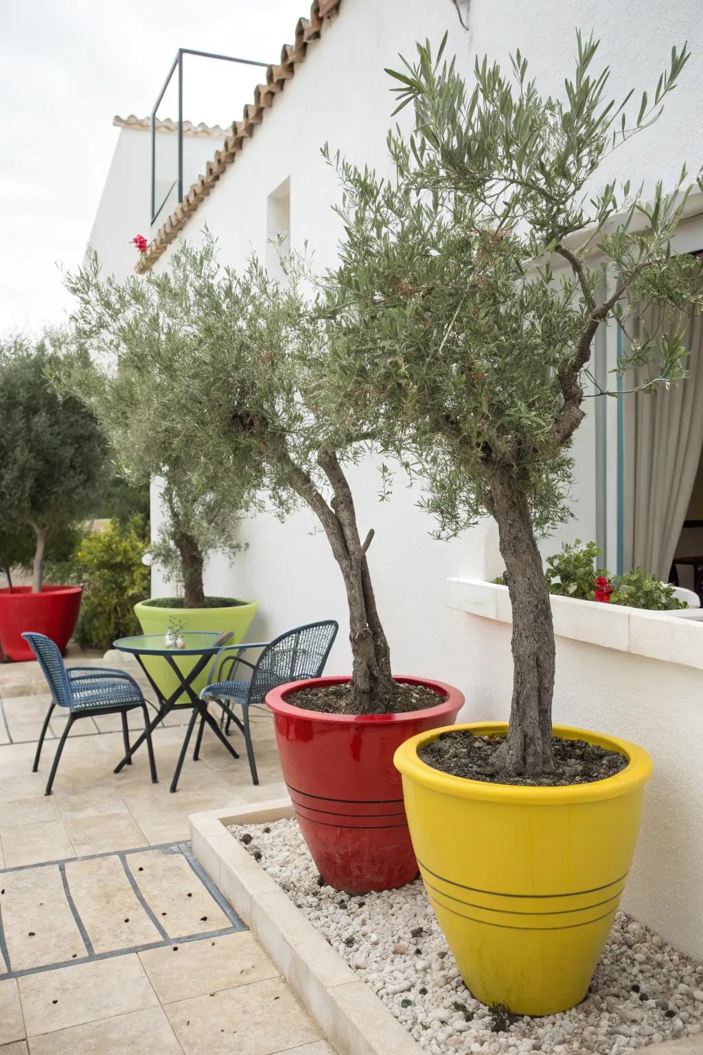 Vibrant colors for a lively courtyard.