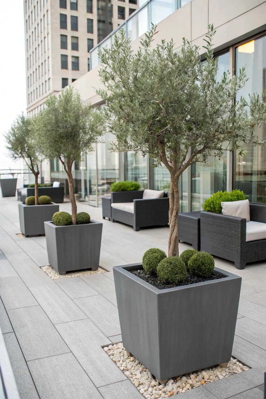 Sleek modern planters for a contemporary look.