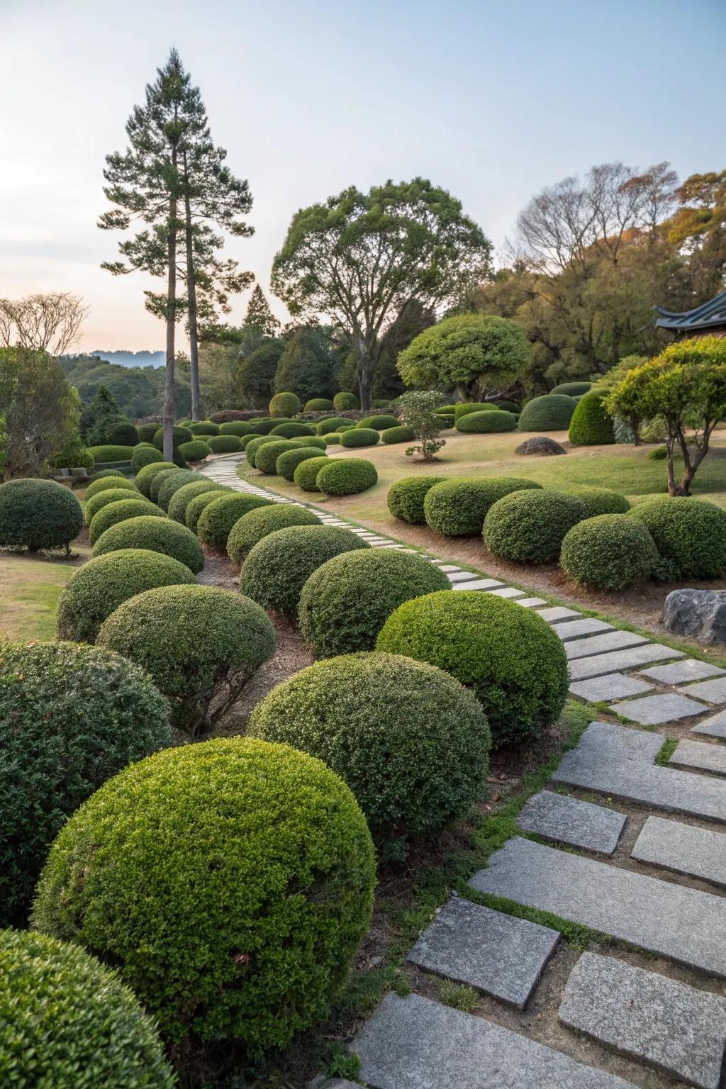 Sculptural mass plantings with Japanese boxwood create mesmerizing patterns.