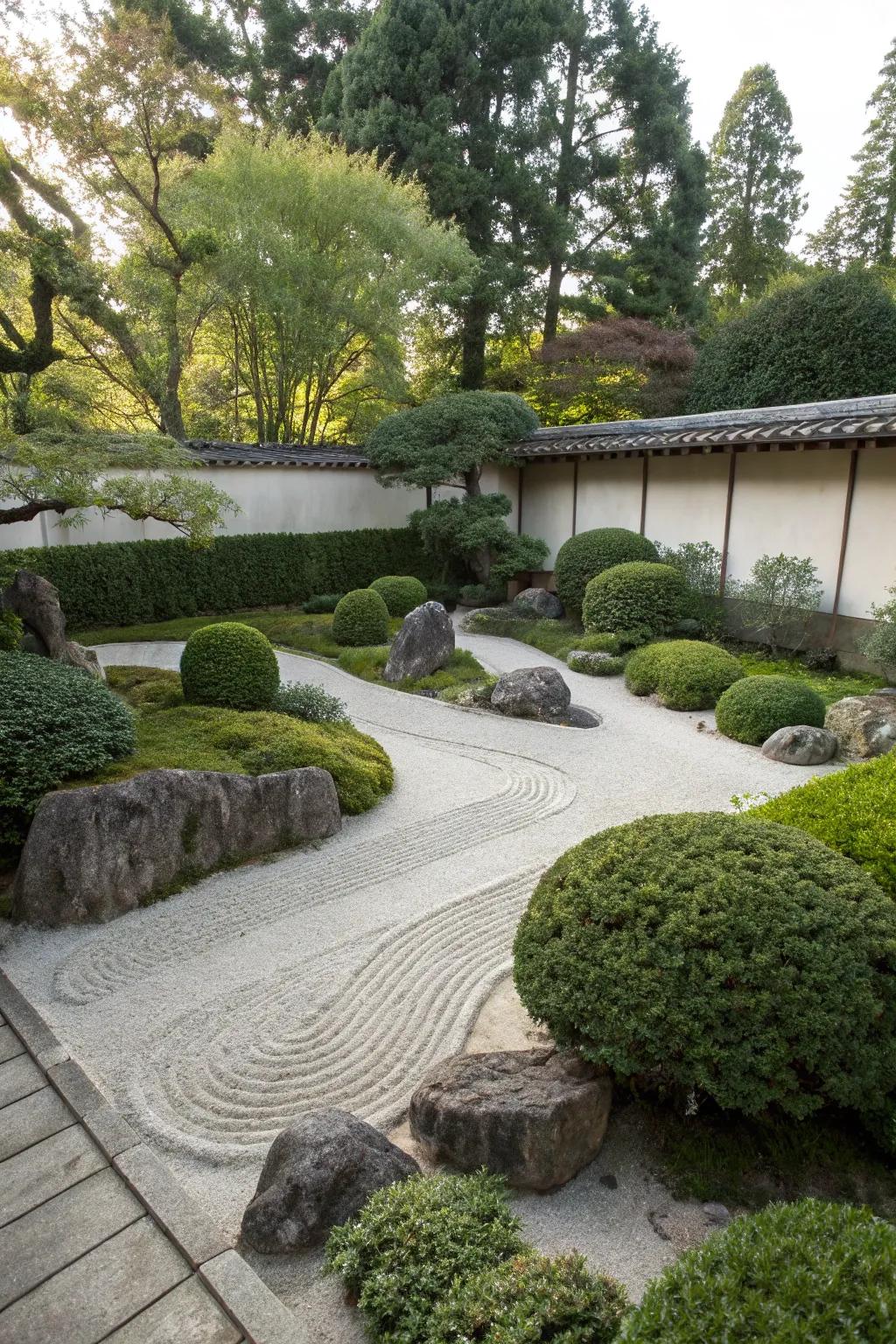 Japanese boxwood enhances the tranquility of Zen gardens.