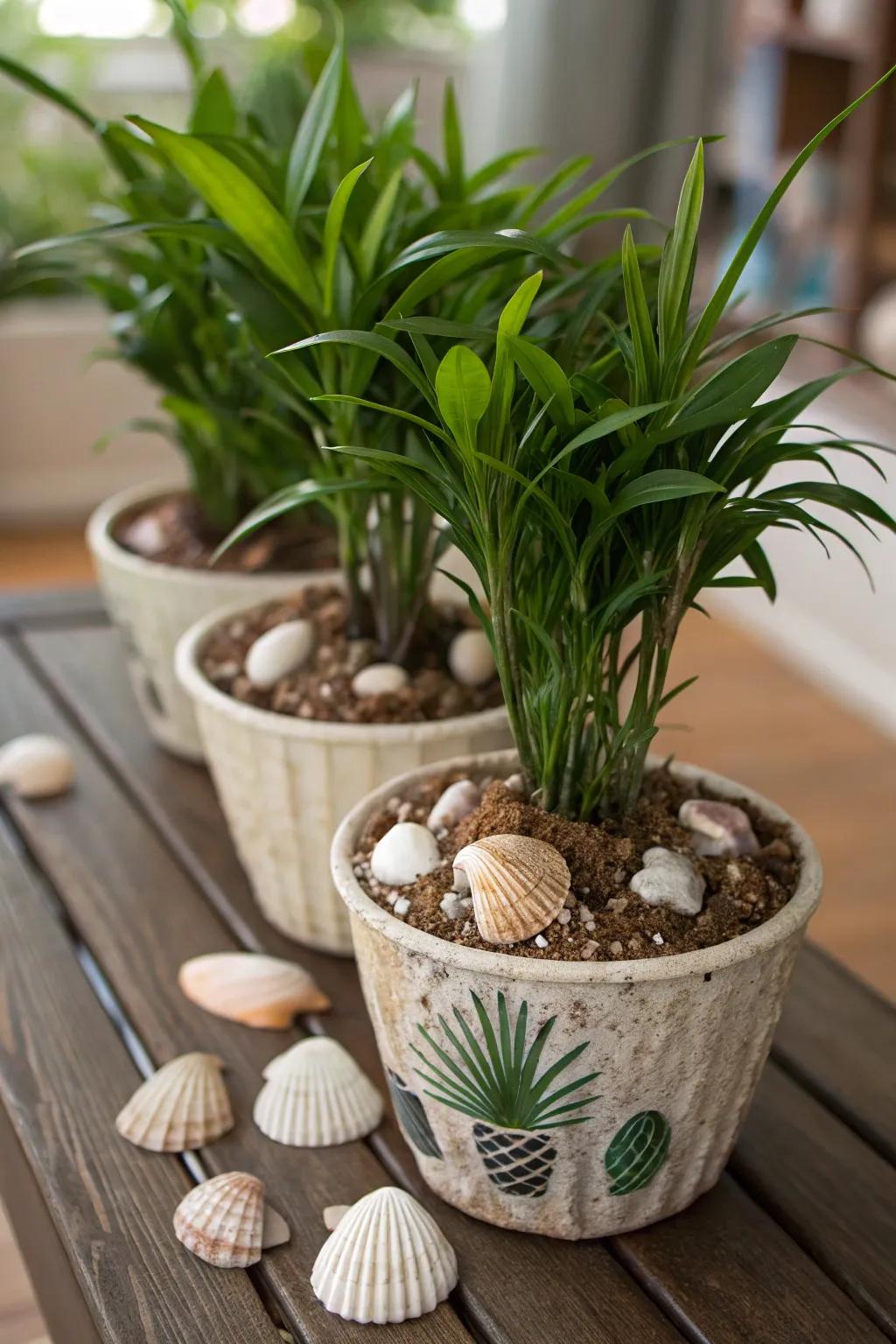 Enhance your potted plants with decorative seashells.