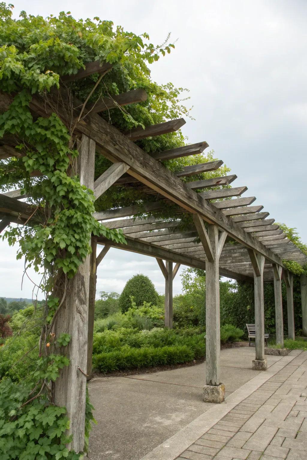 A pergola brings style and shade.
