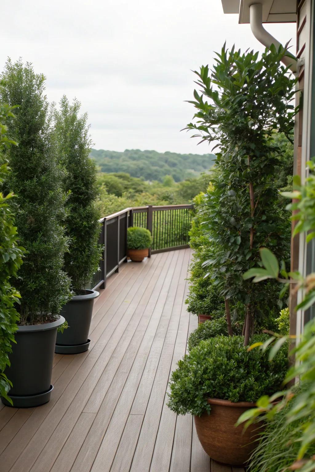 Plants create a private oasis on this deck.
