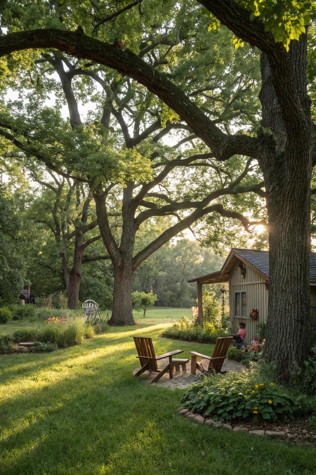 A serene shady retreat under grand oak trees.