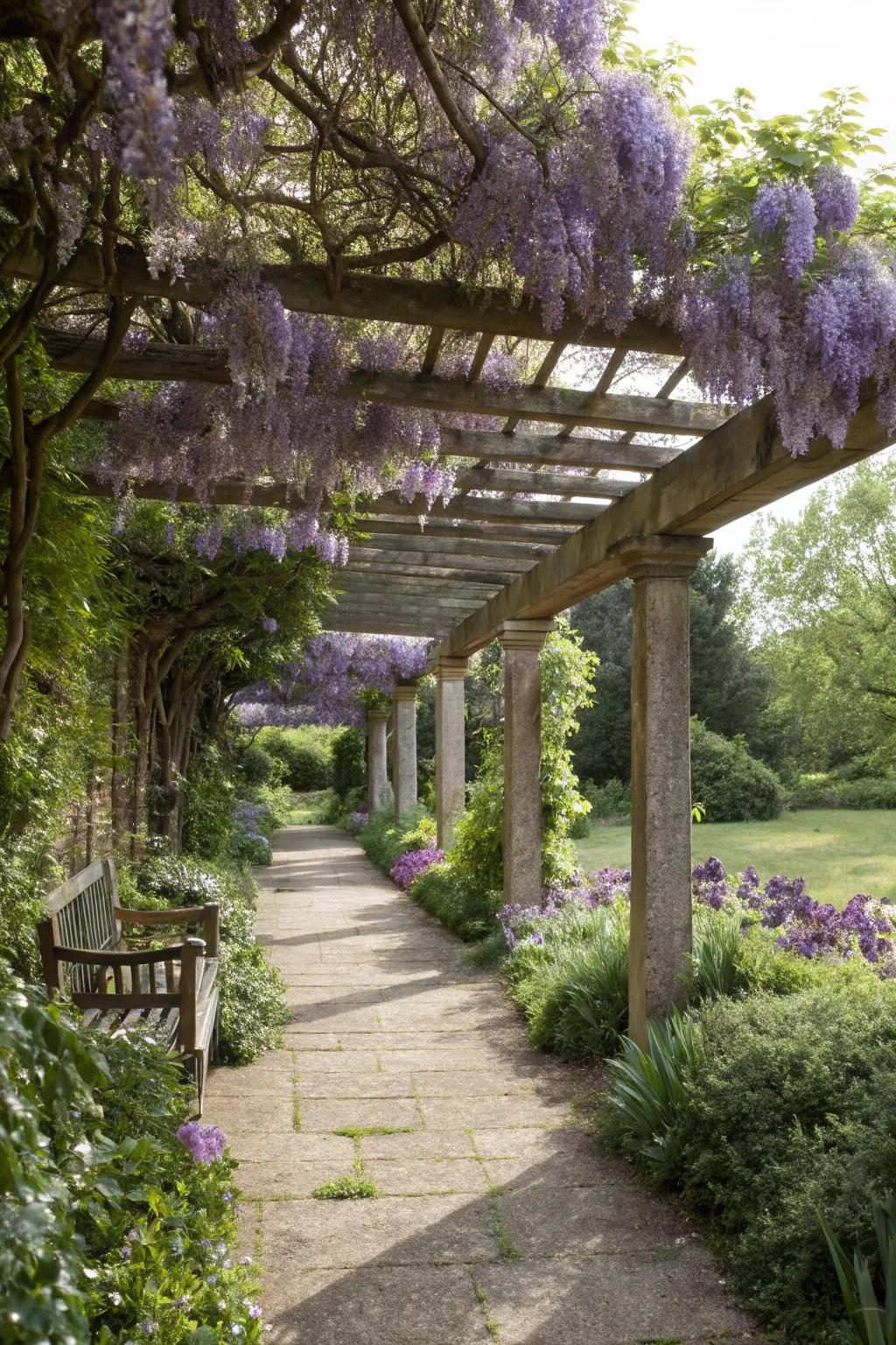Climbing plants offer beauty and shade.