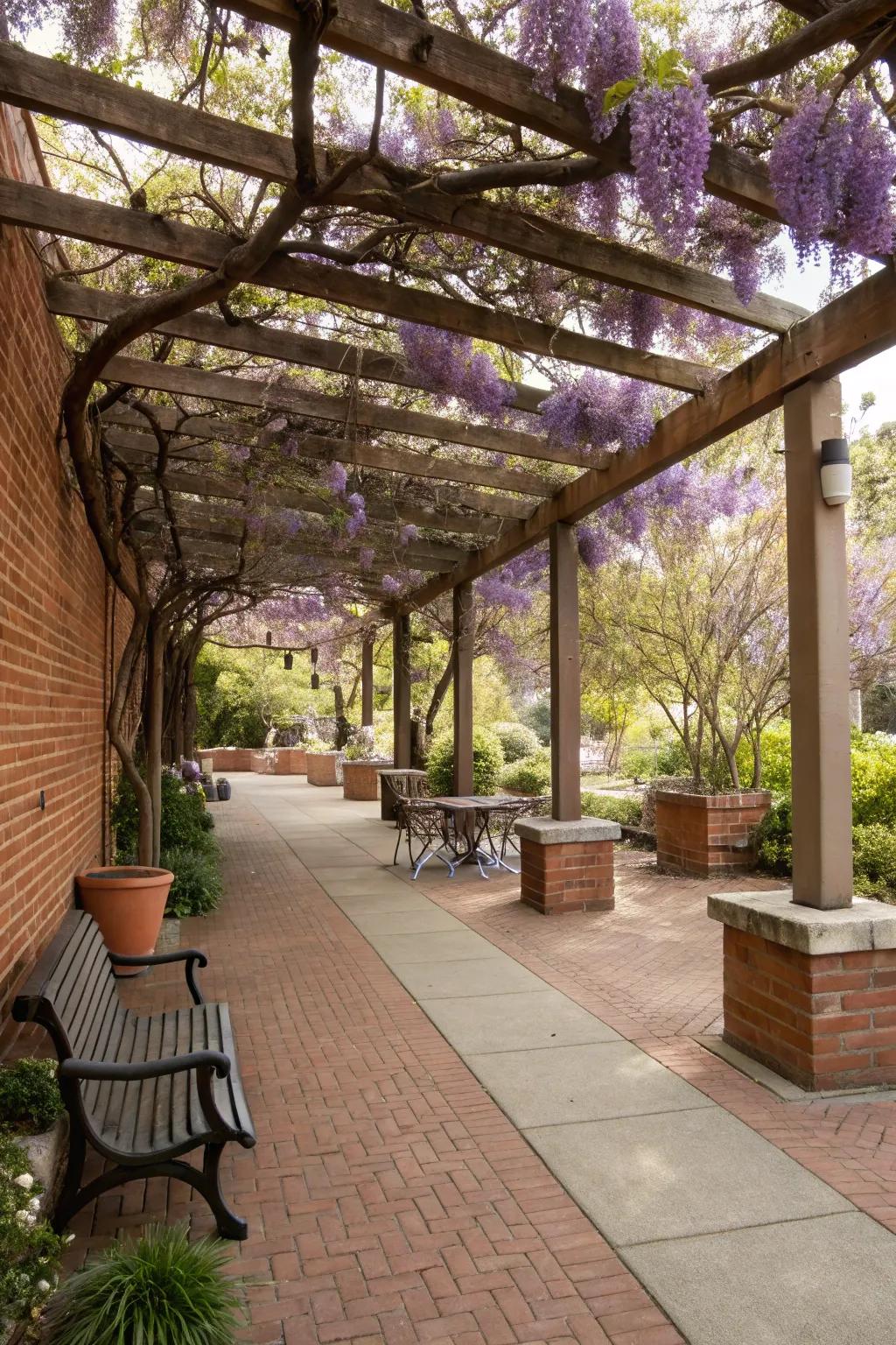 Pergola provides shade and elegance over a patio.