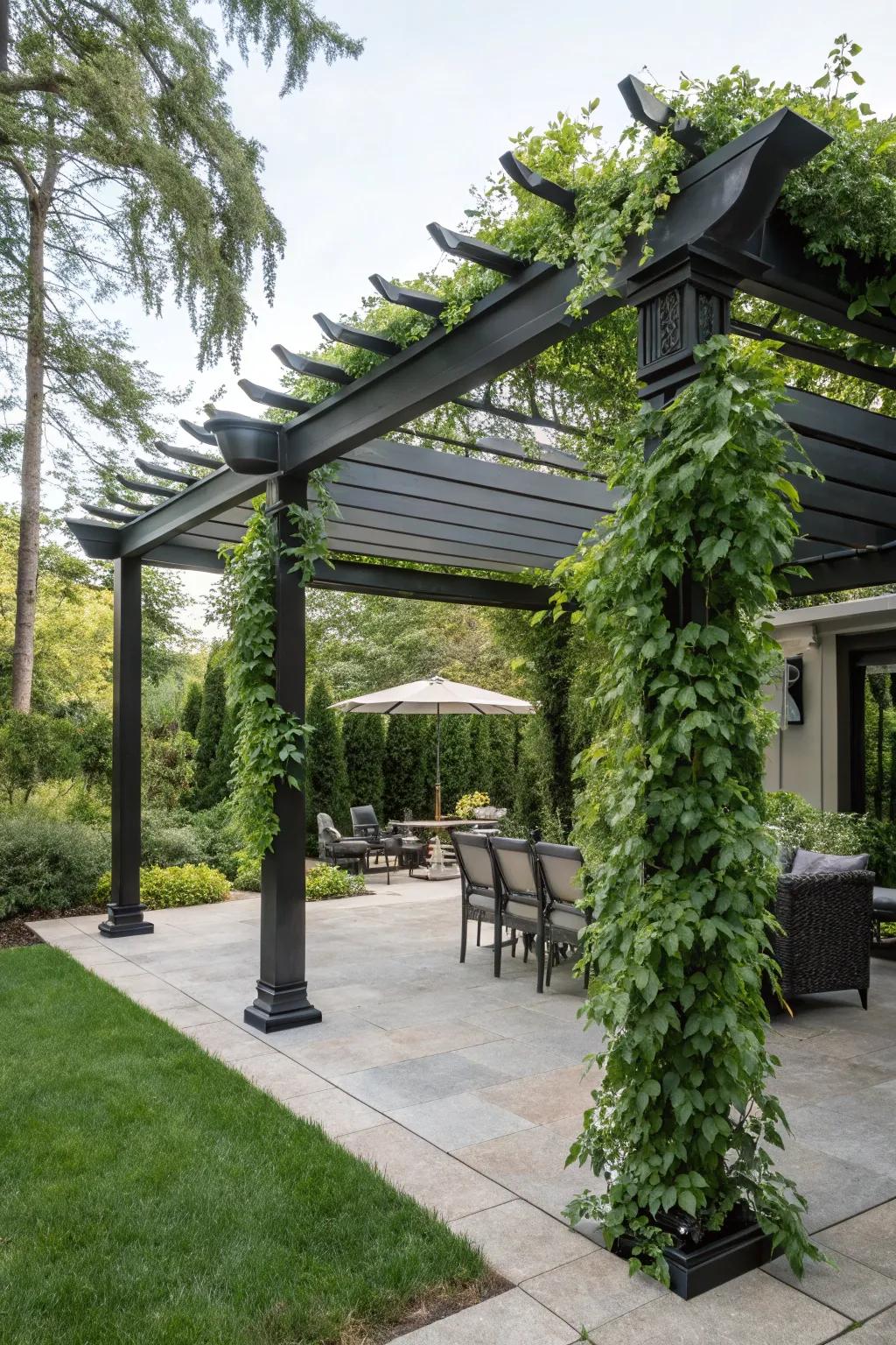 A sleek black pergola adds both style and shade to the patio.