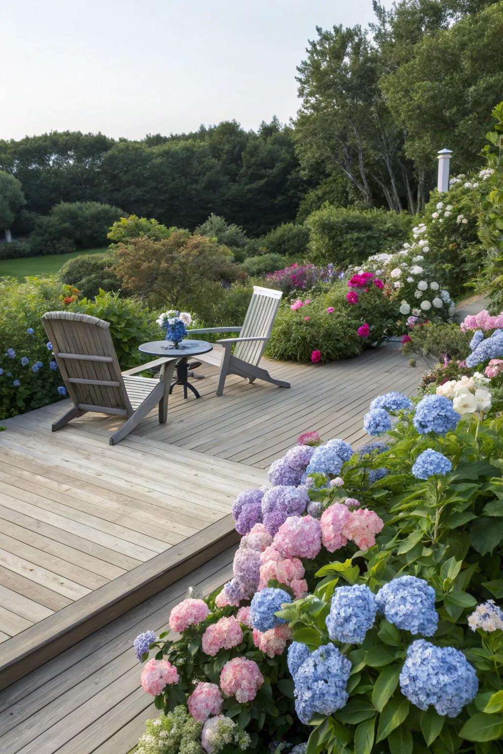A lush garden border can transform your deck into a vibrant retreat.