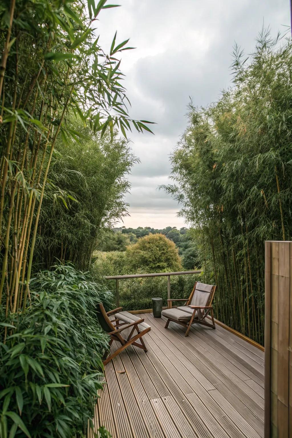 Tall greenery can create a private oasis on your deck.
